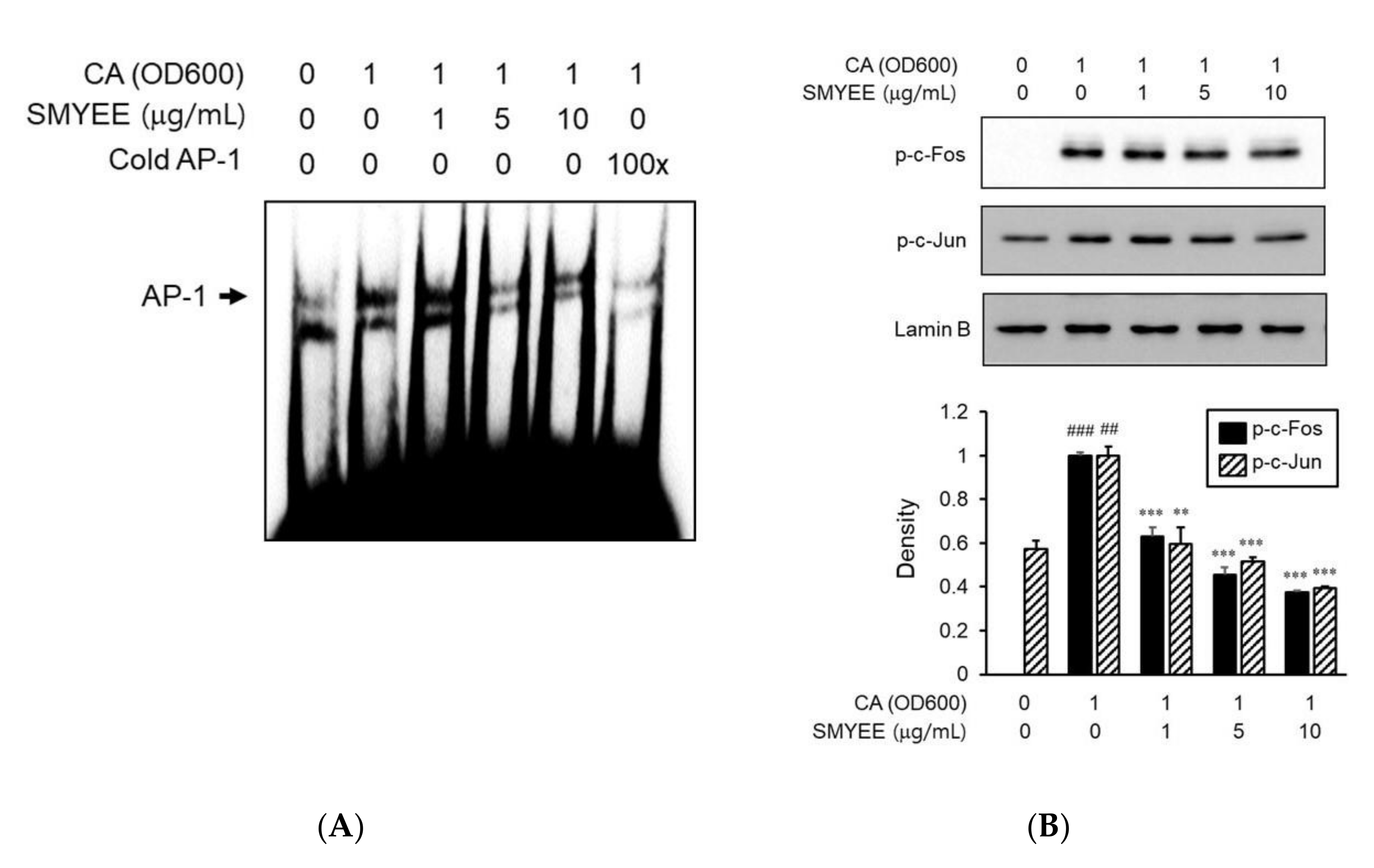 Nutrients 12 02620 g006