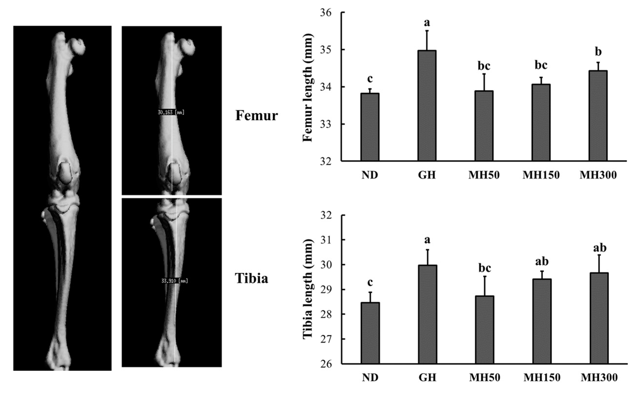 Nutrients 12 02625 g001