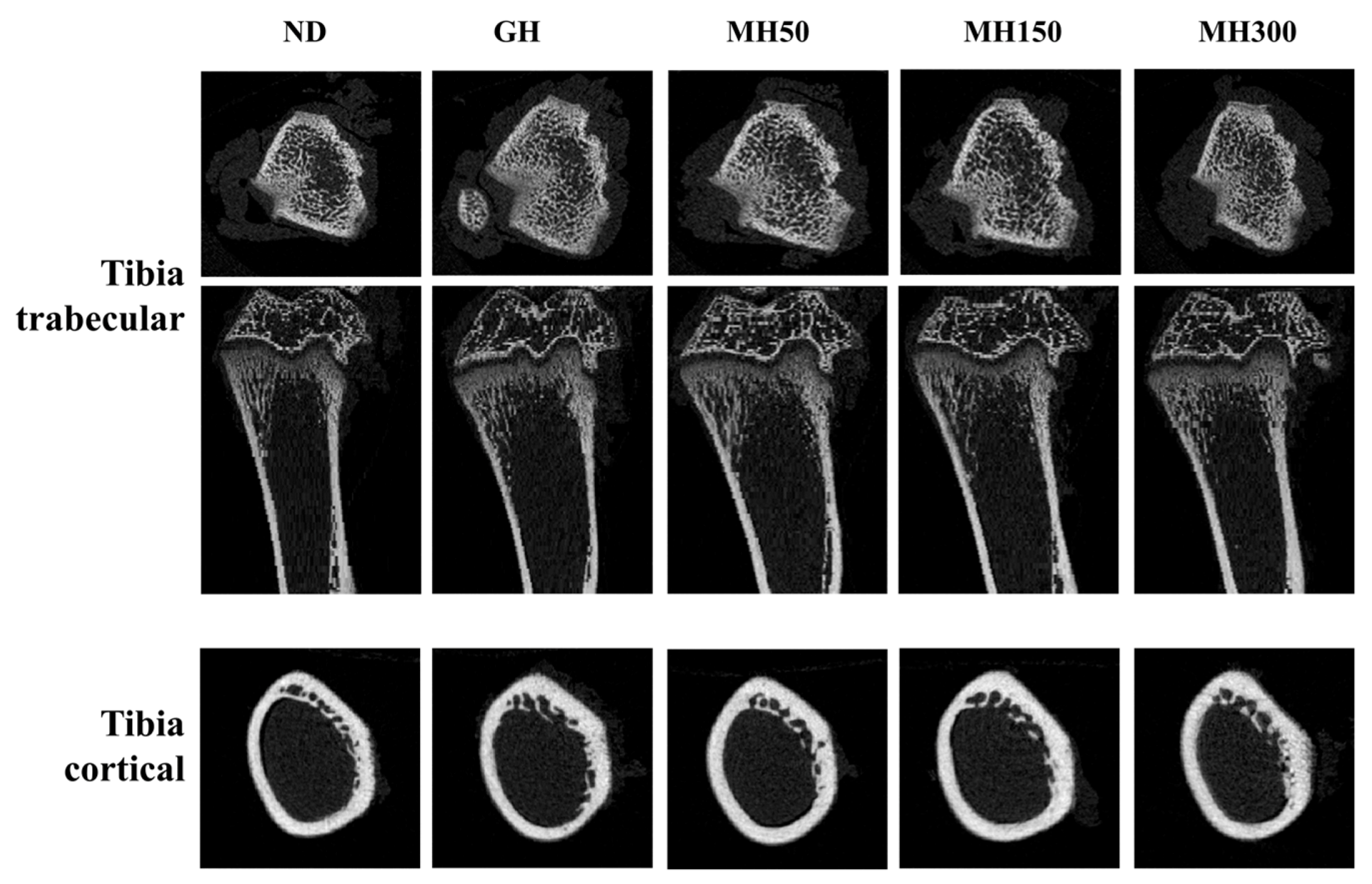 Nutrients 12 02625 g002