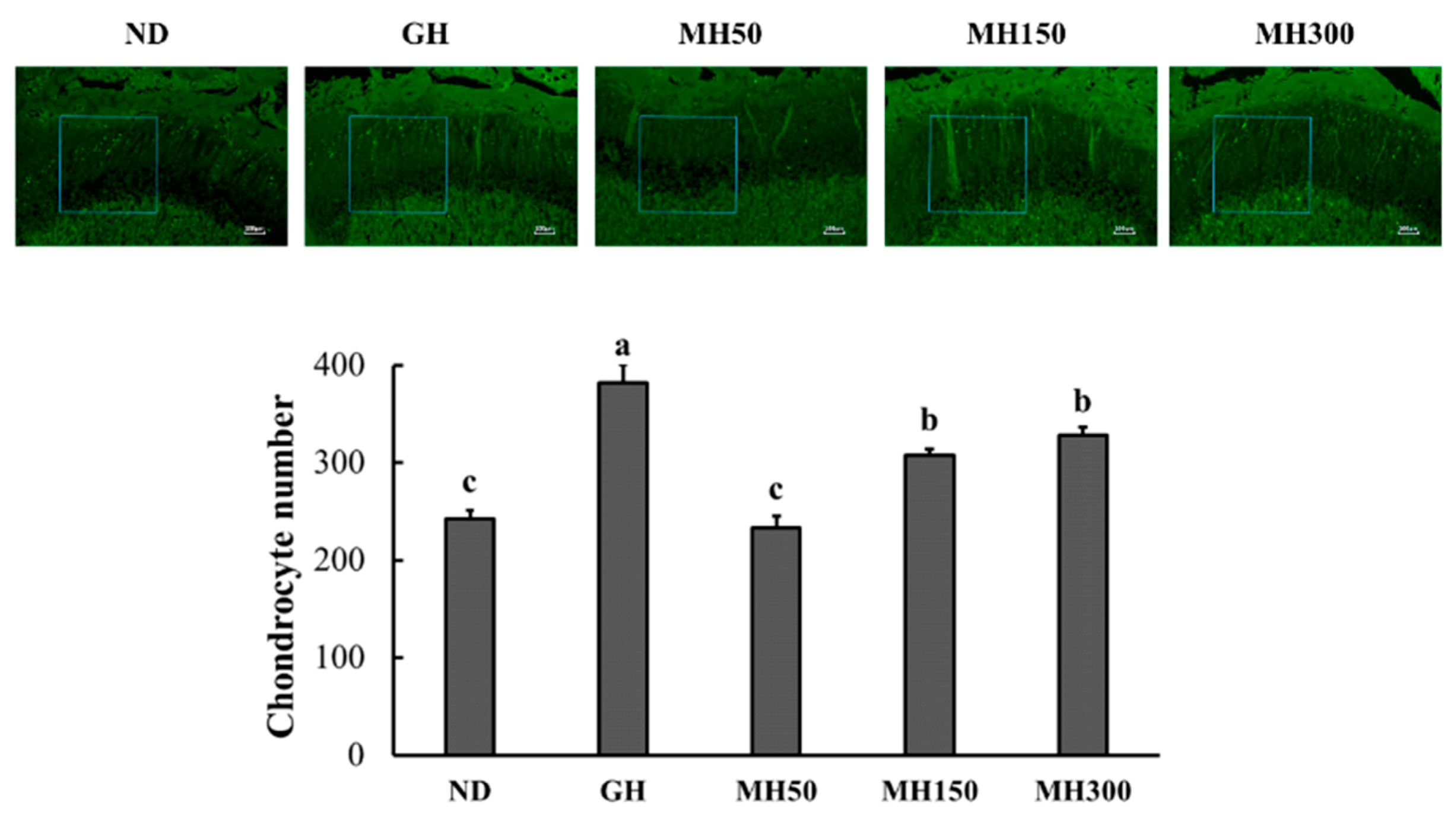 Nutrients 12 02625 g003