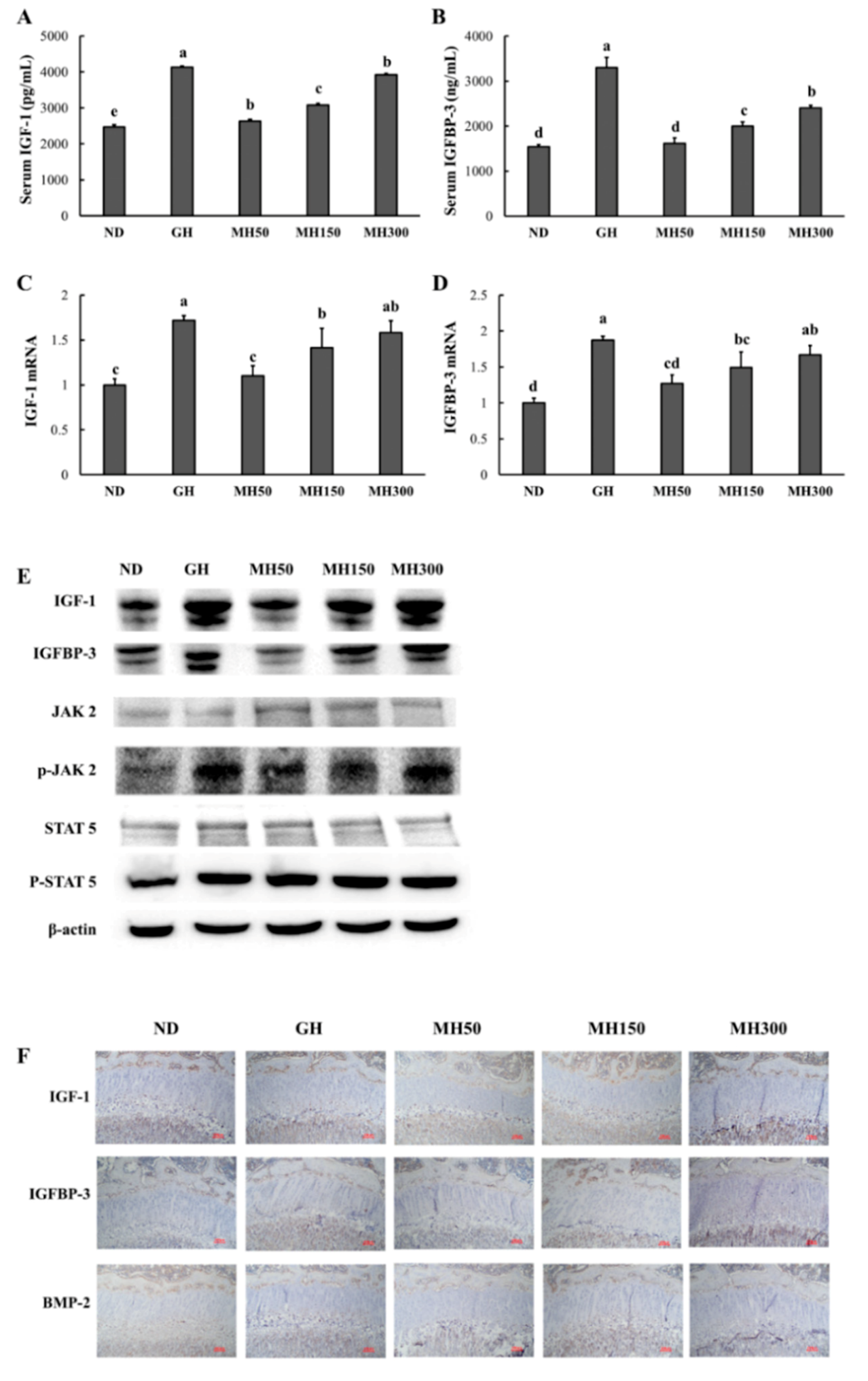 Nutrients 12 02625 g005