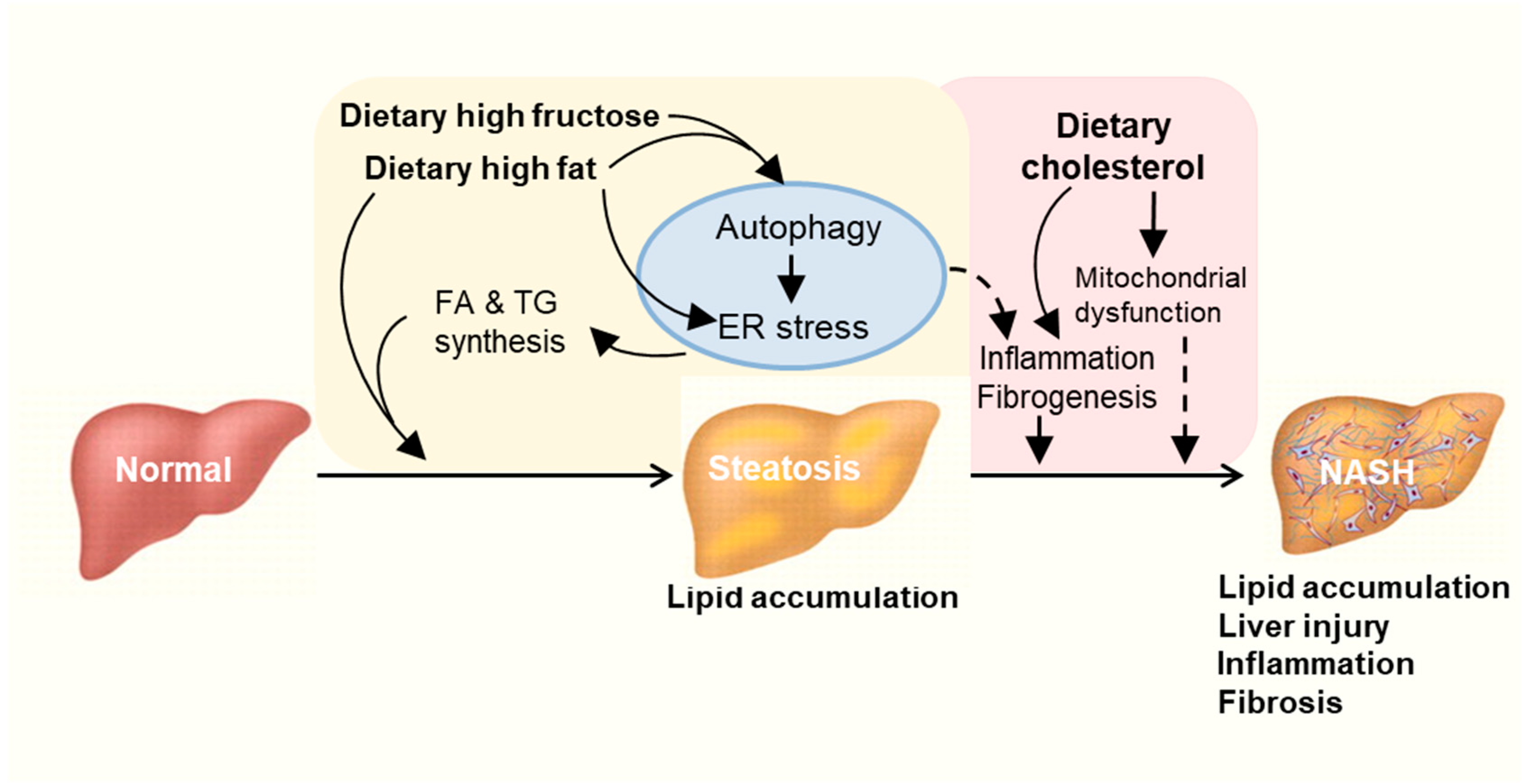 Nutrients 12 02626 g003