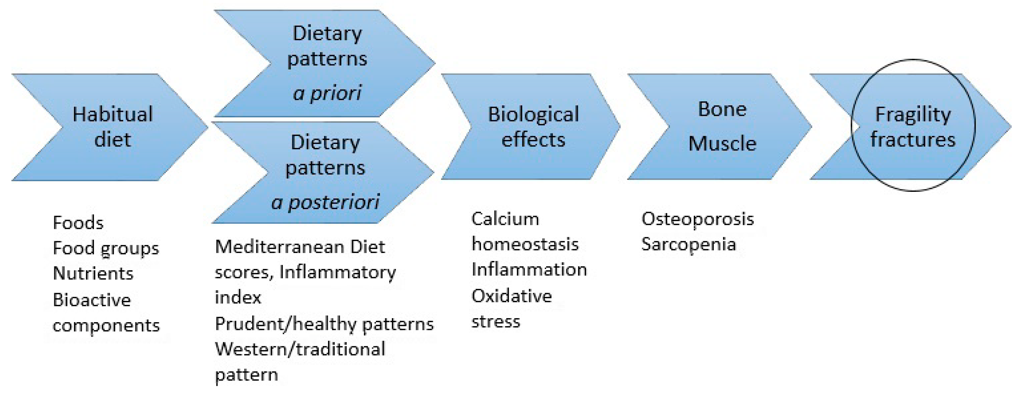 Nutrients 12 02642 g001