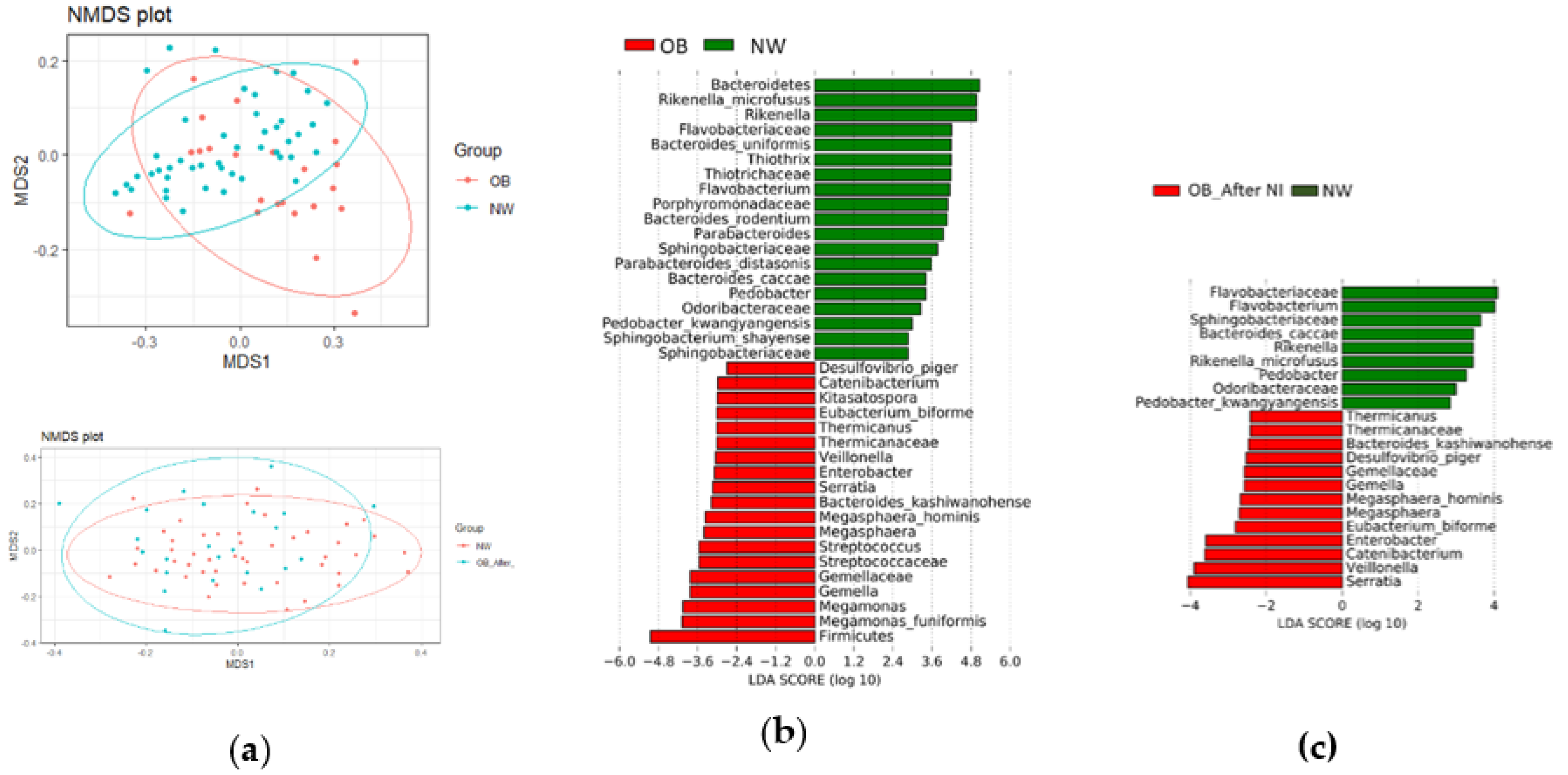 Nutrients 12 02707 g001 Nutrients 12 02707 g001