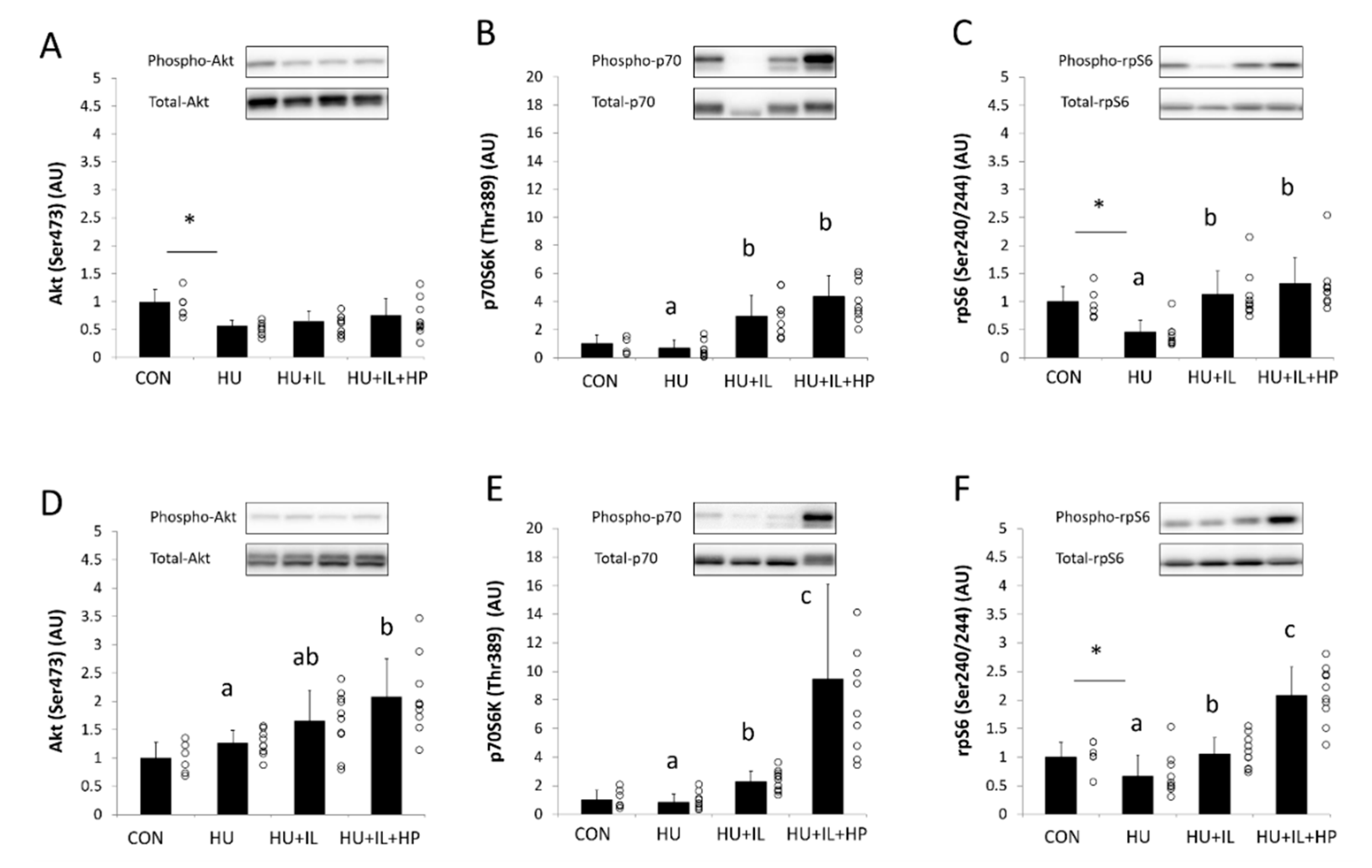 Nutrients 12 02729 g001