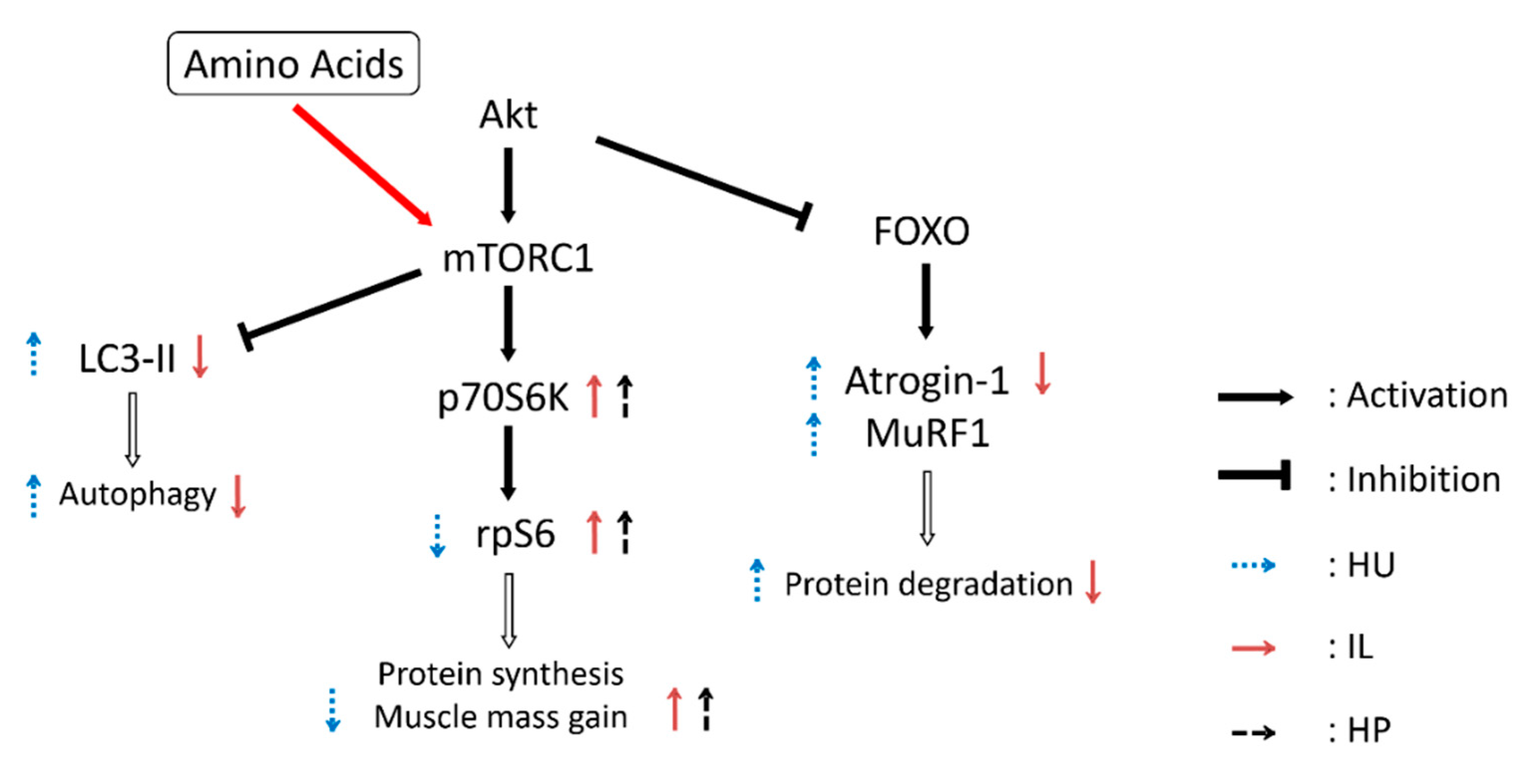 Nutrients 12 02729 g004