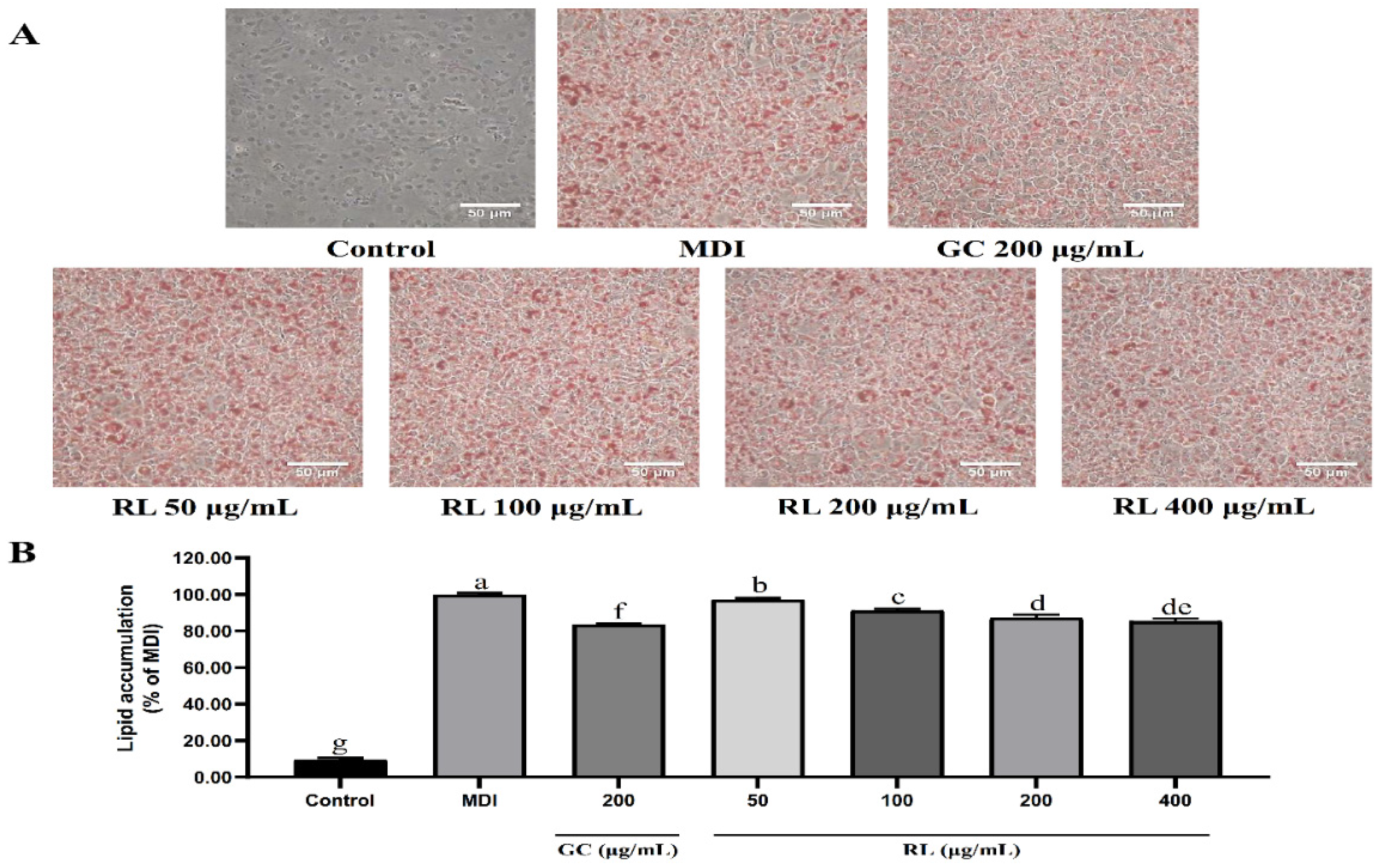 Nutrients 12 02744 g003