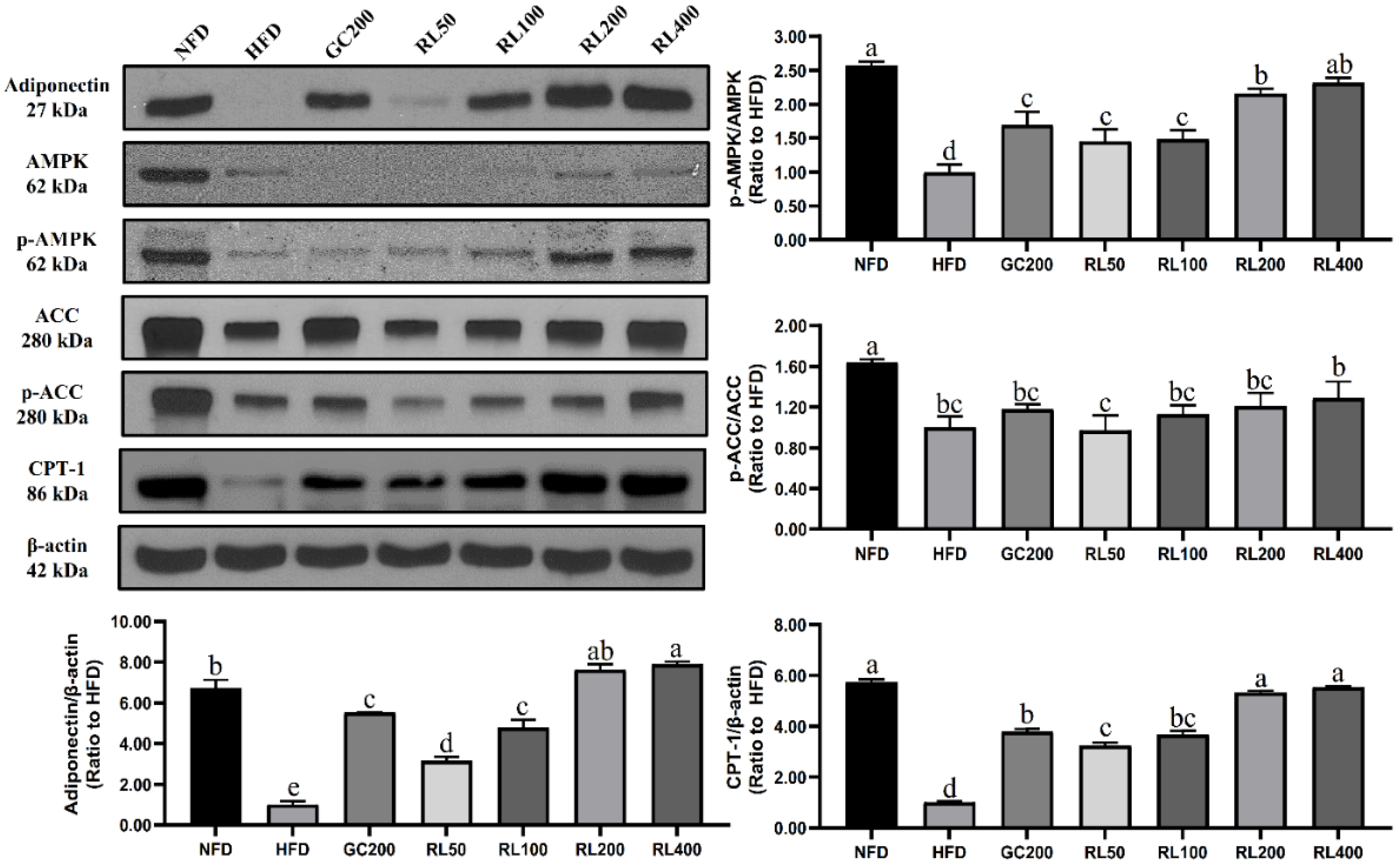 Nutrients 12 02744 g006