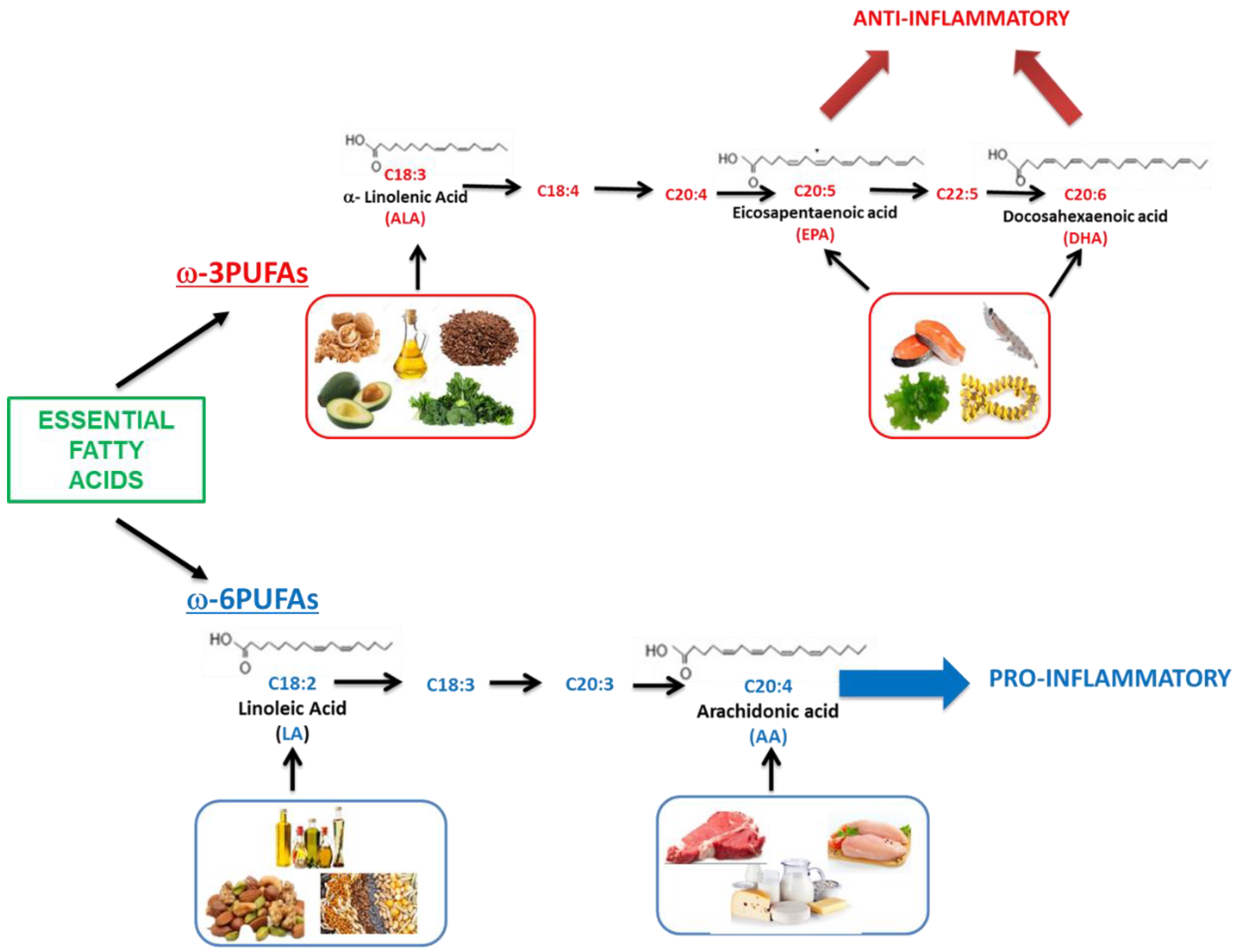 Nutrients 12 02751 g001