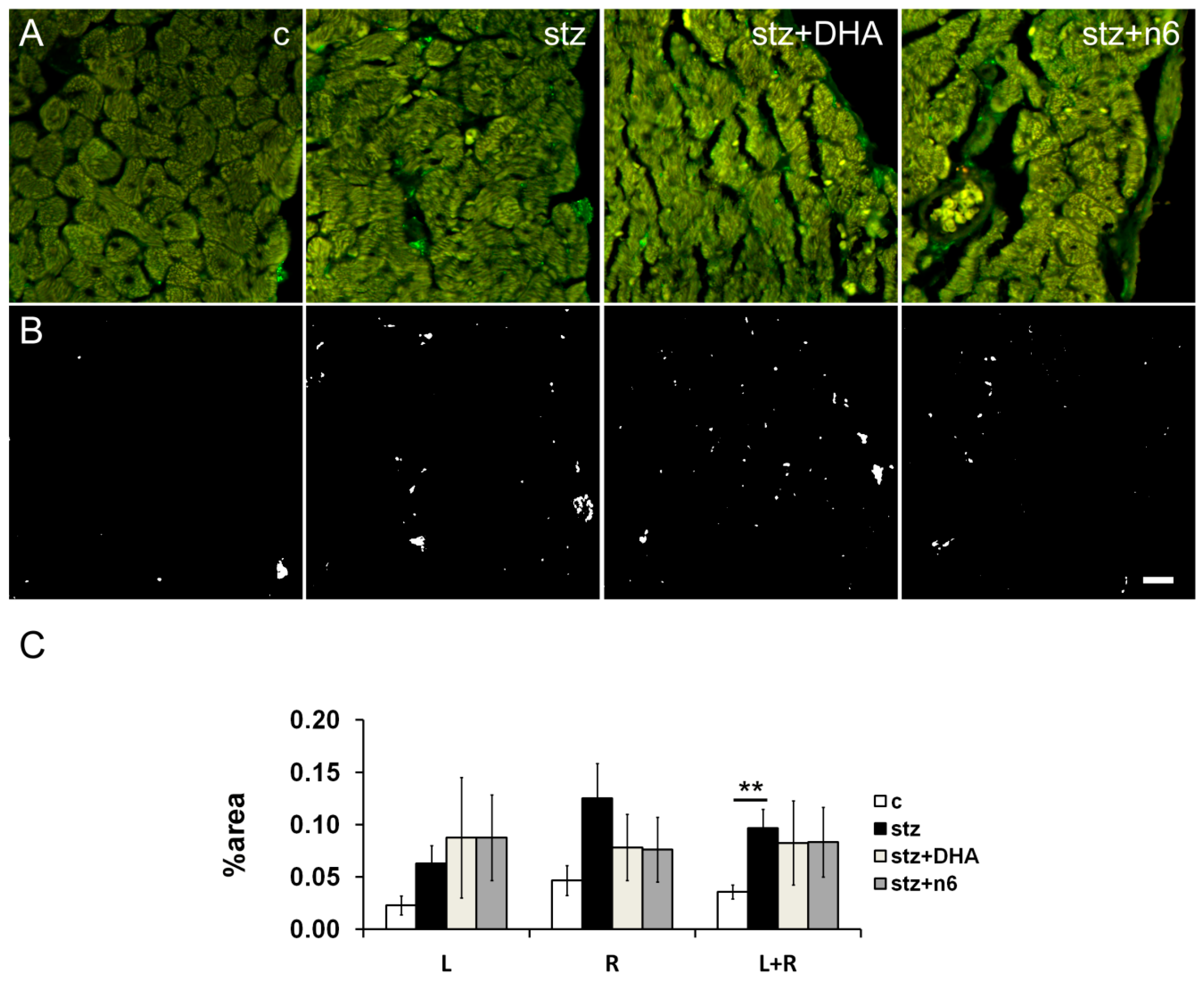 Nutrients 12 02761 g005