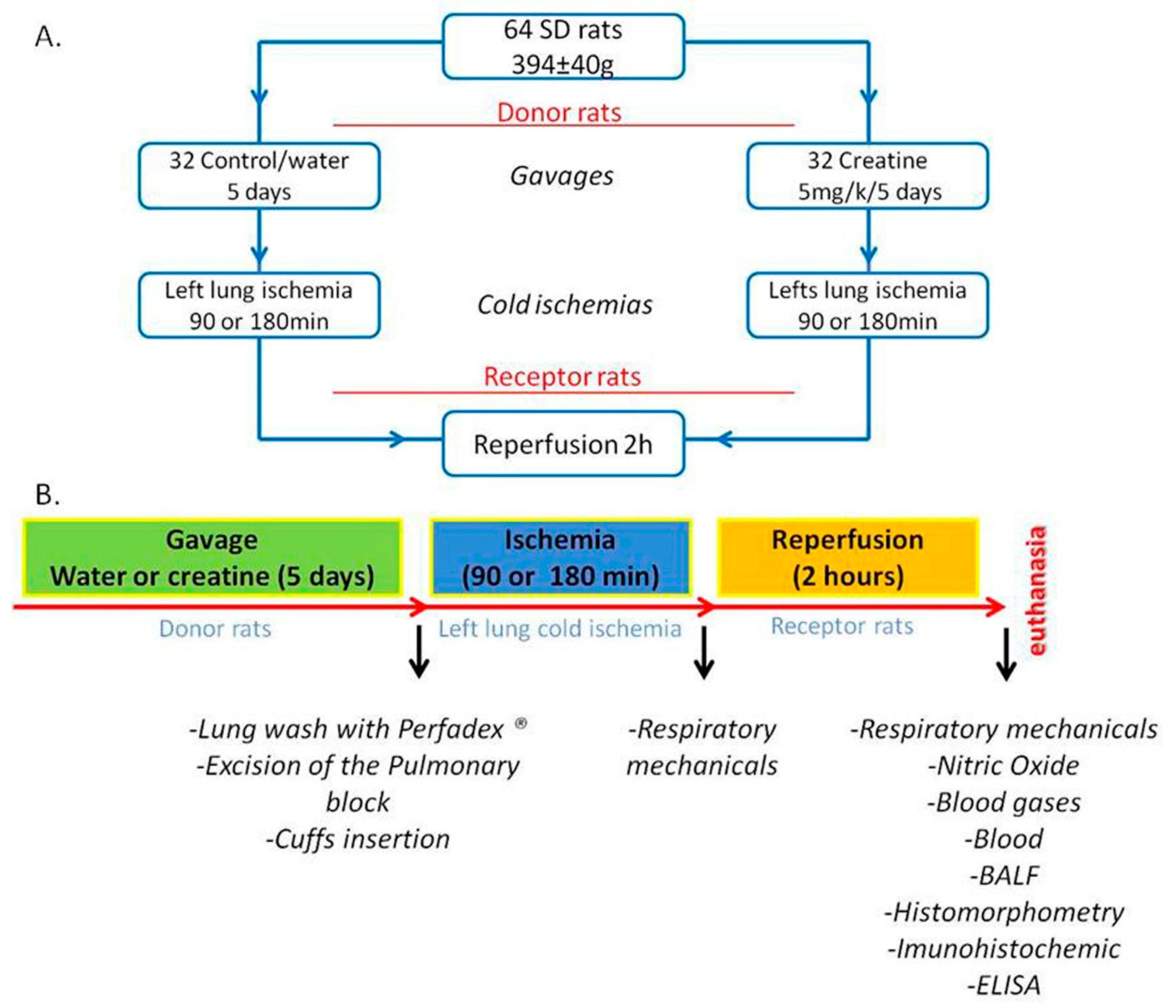 Nutrients 12 02765 g001