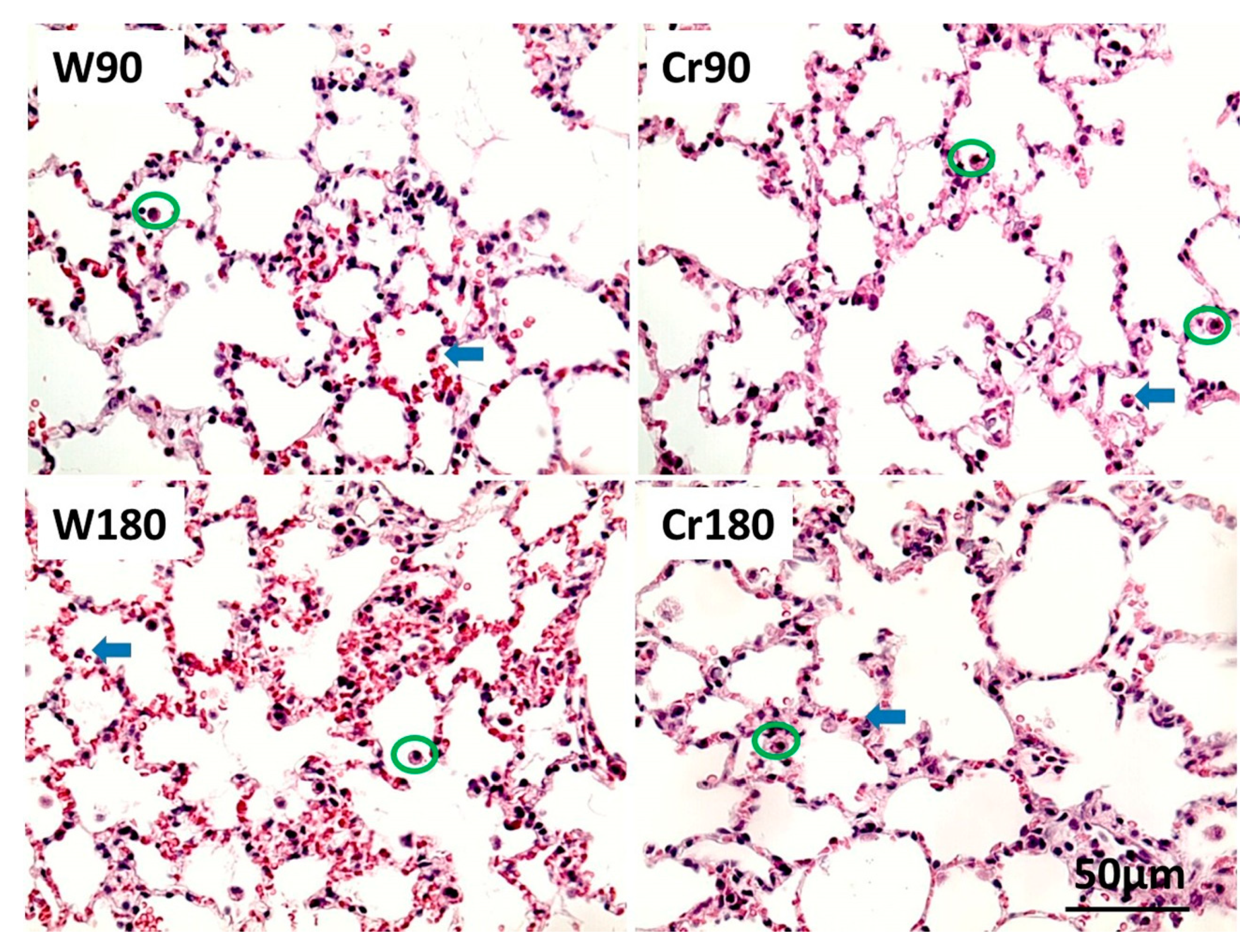 Nutrients 12 02765 g004