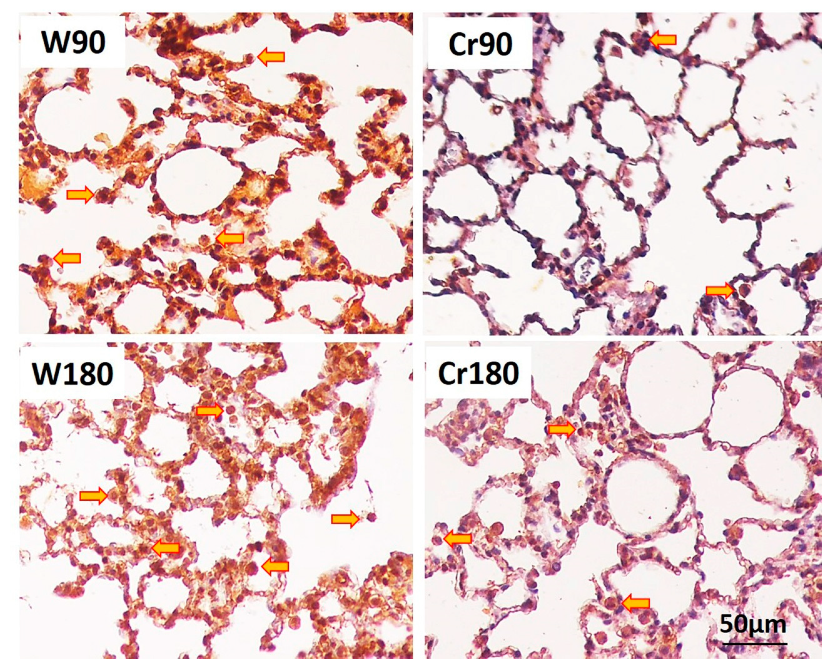 Nutrients 12 02765 g006