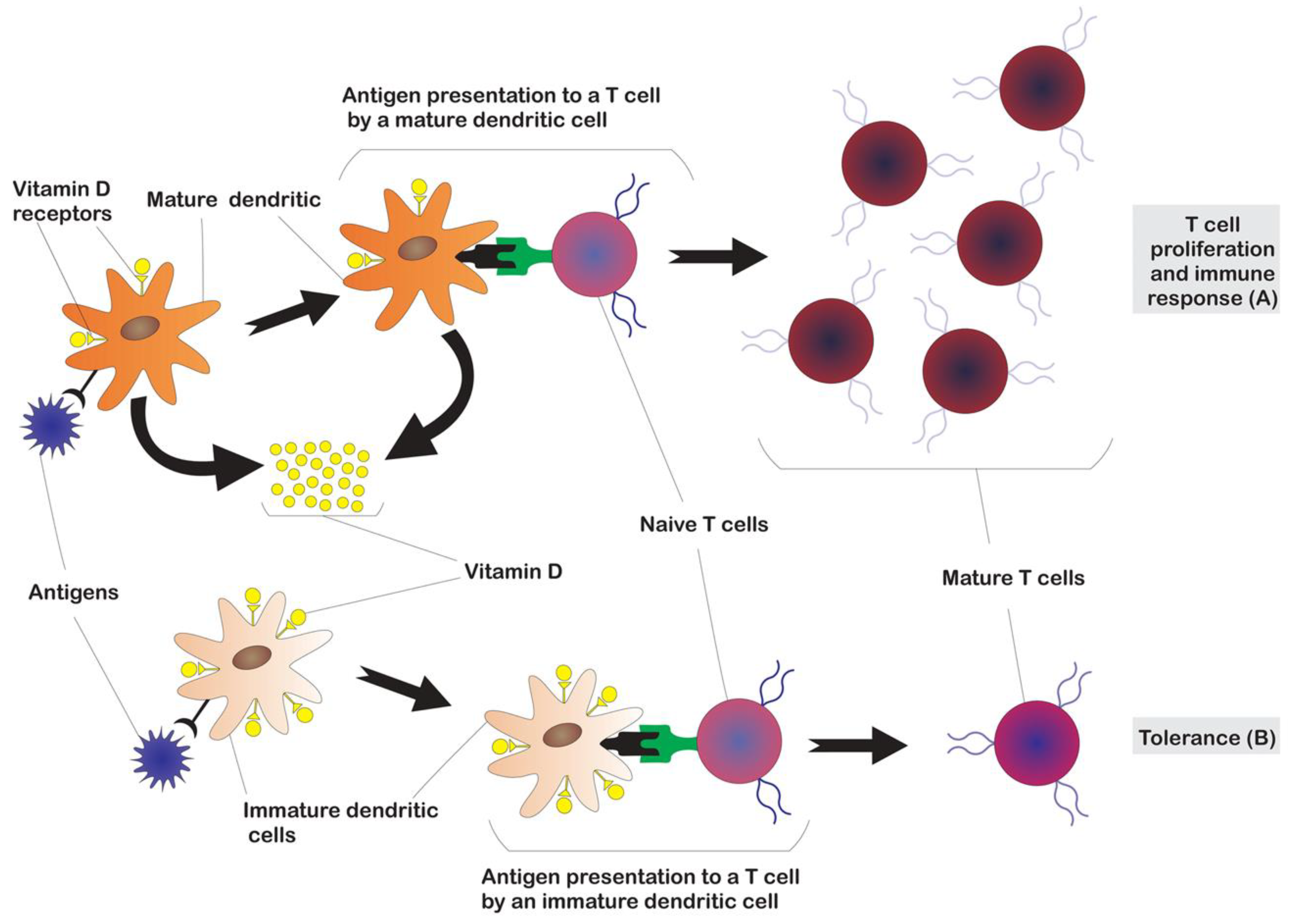 Nutrients 12 02791 g003