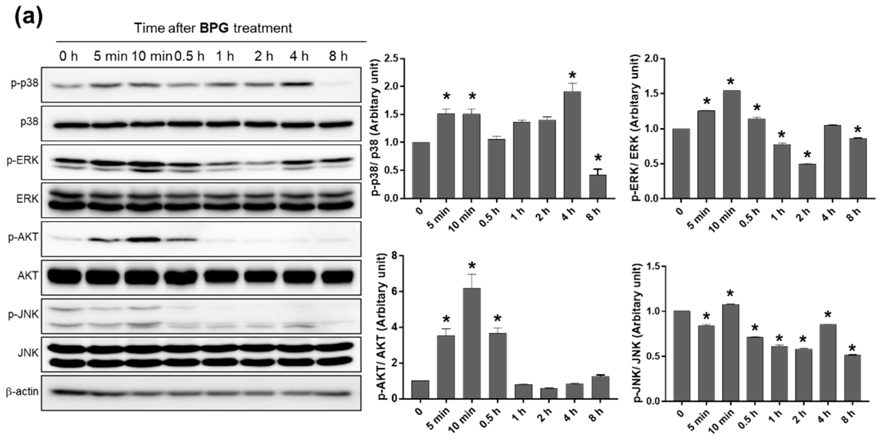 Nutrients 12 02802 g005a Nutrients 12 02802 g005a
