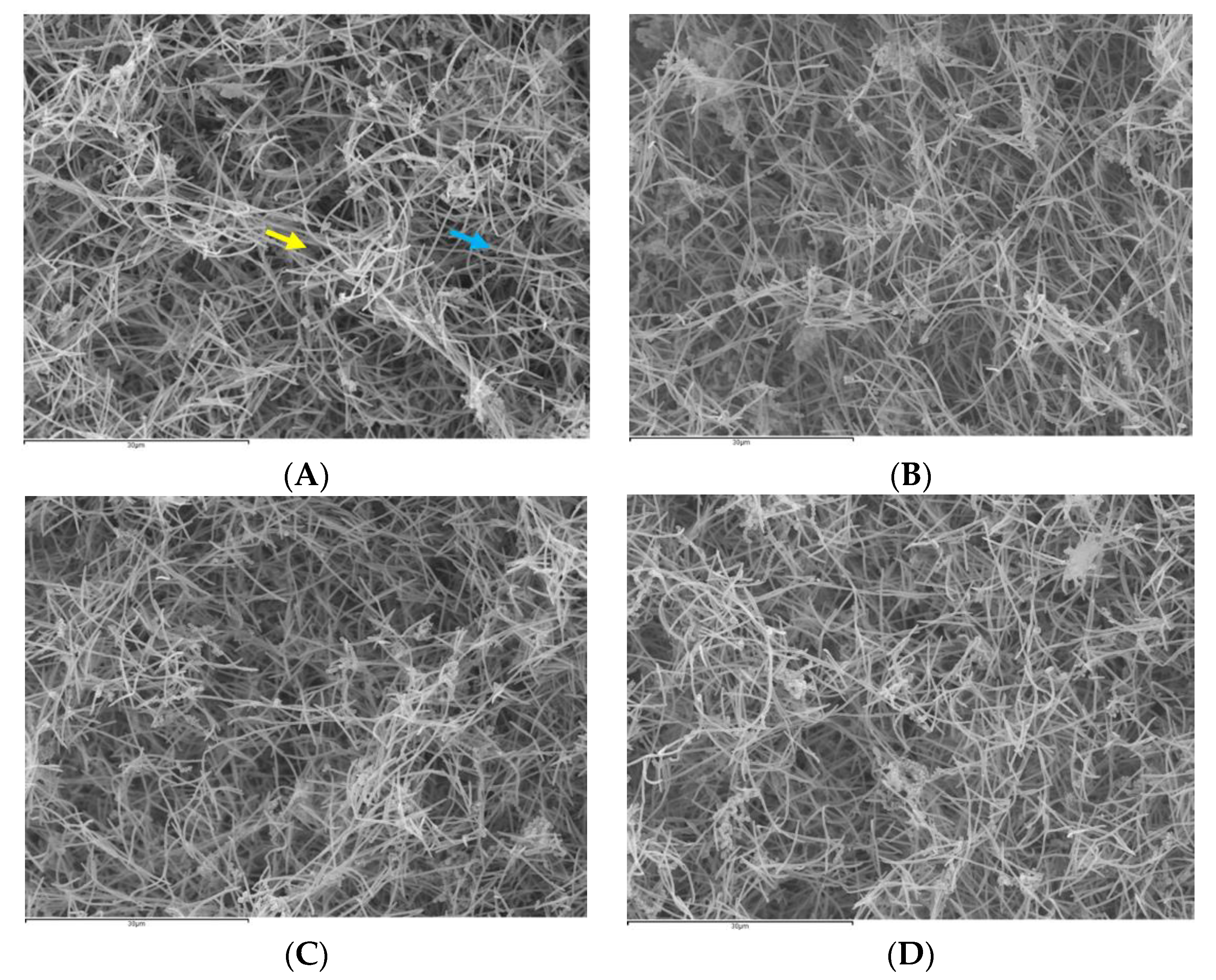 Nutrients 12 02812 g002