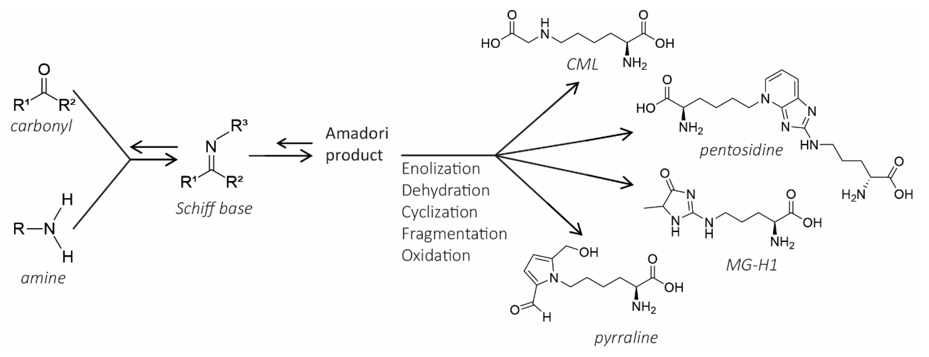 Nutrients 12 02814 g001