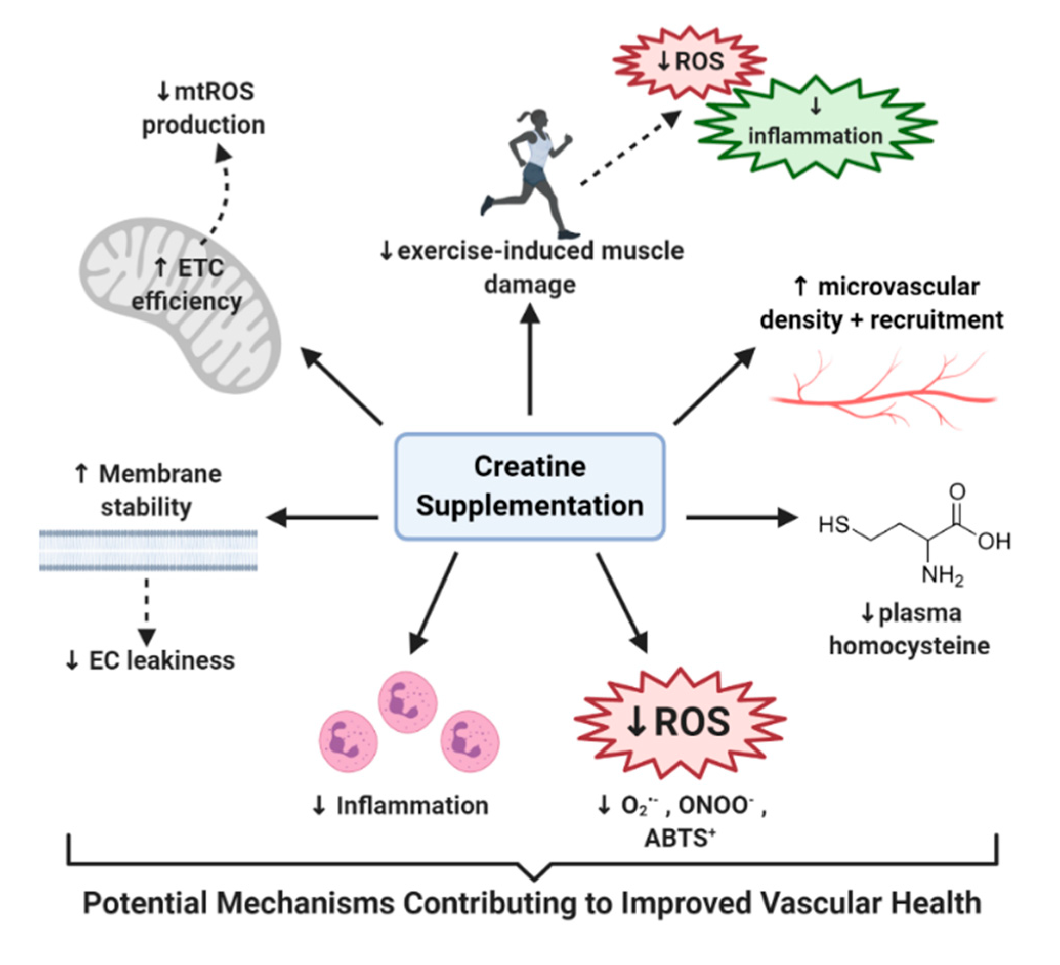 Nutrients 12 02834 g002