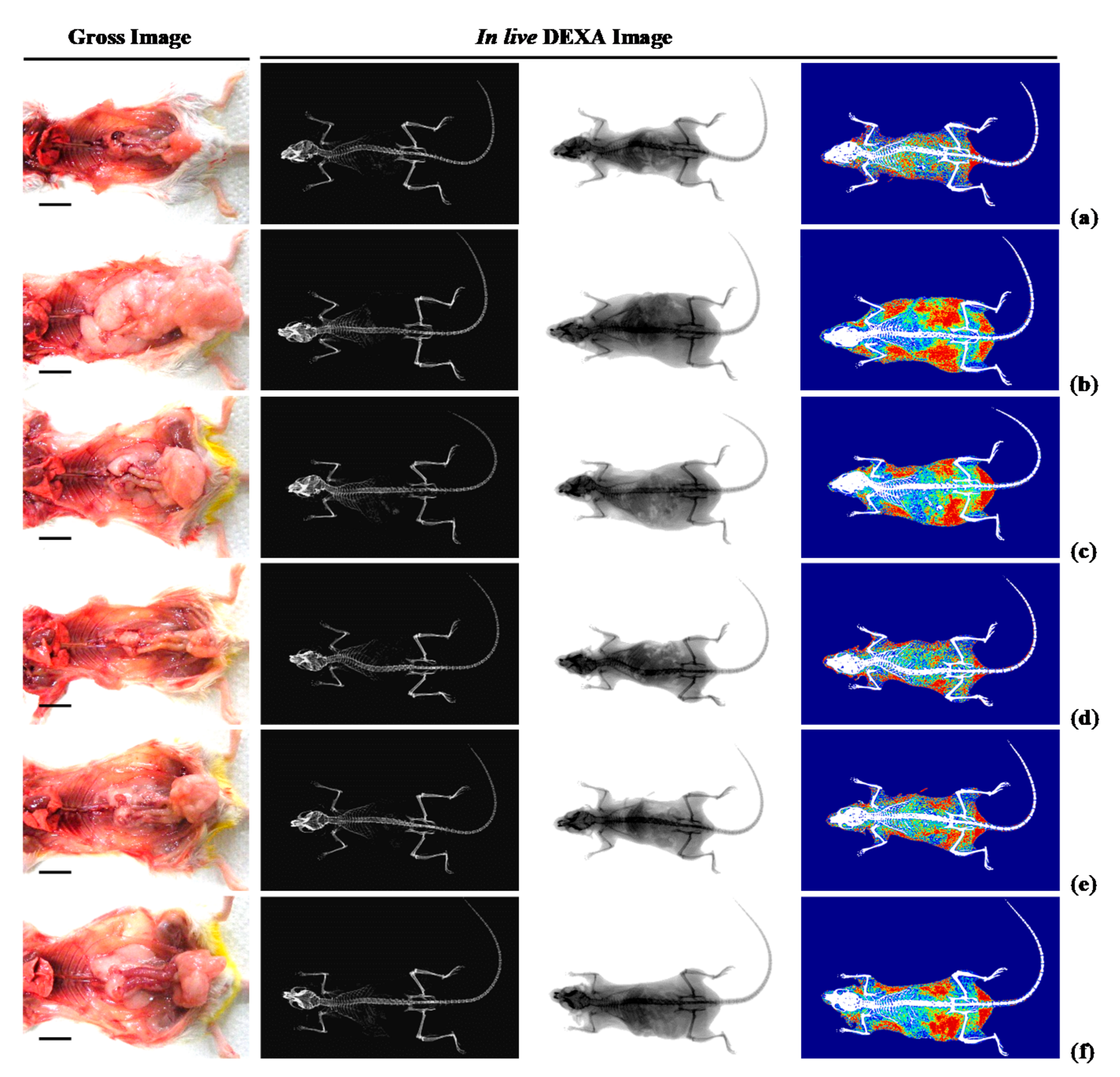 Nutrients 12 02837 g002 Nutrients 12 02837 g002
