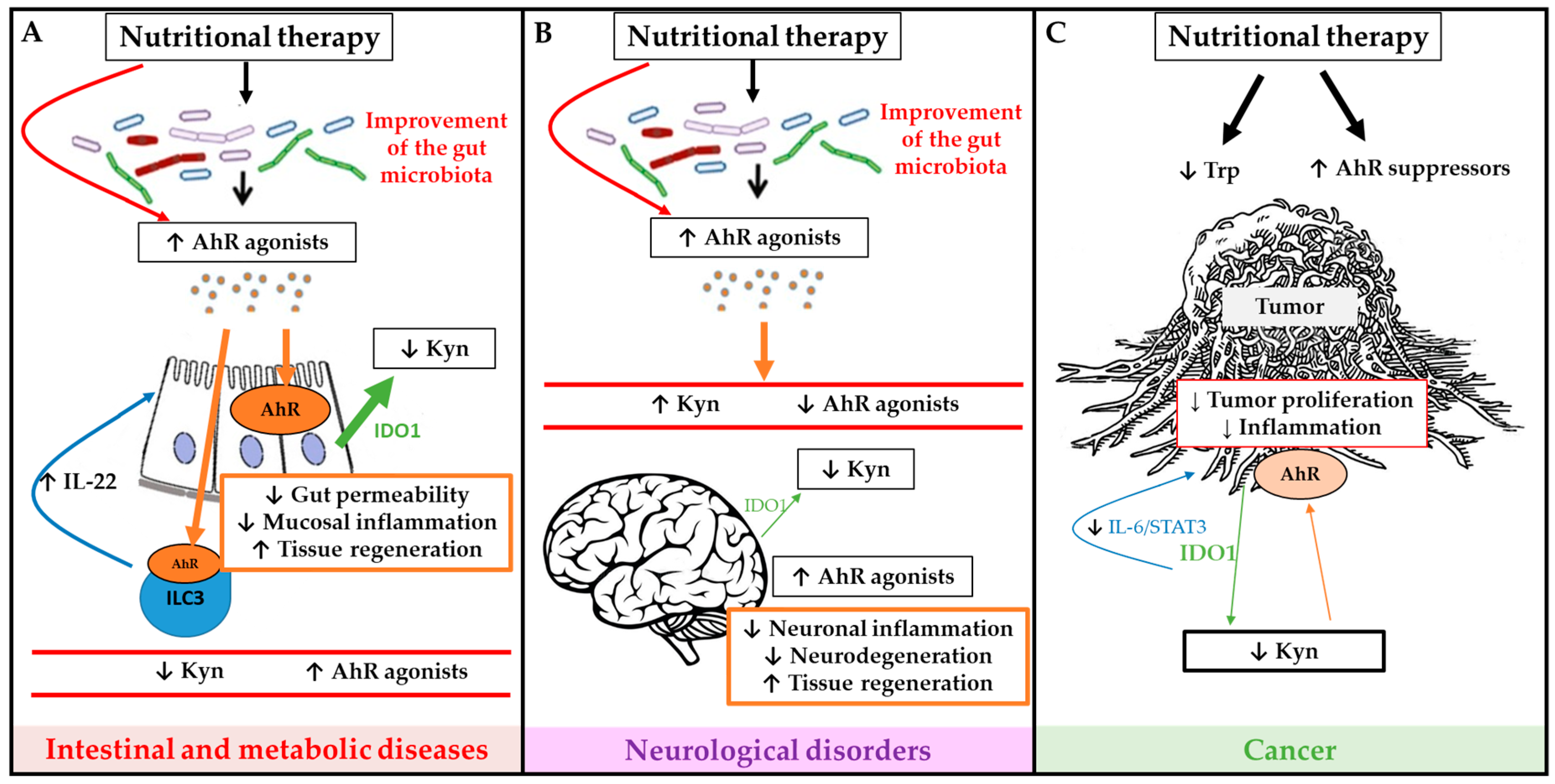 Nutrients 12 02846 g003 Nutrients 12 02846 g003