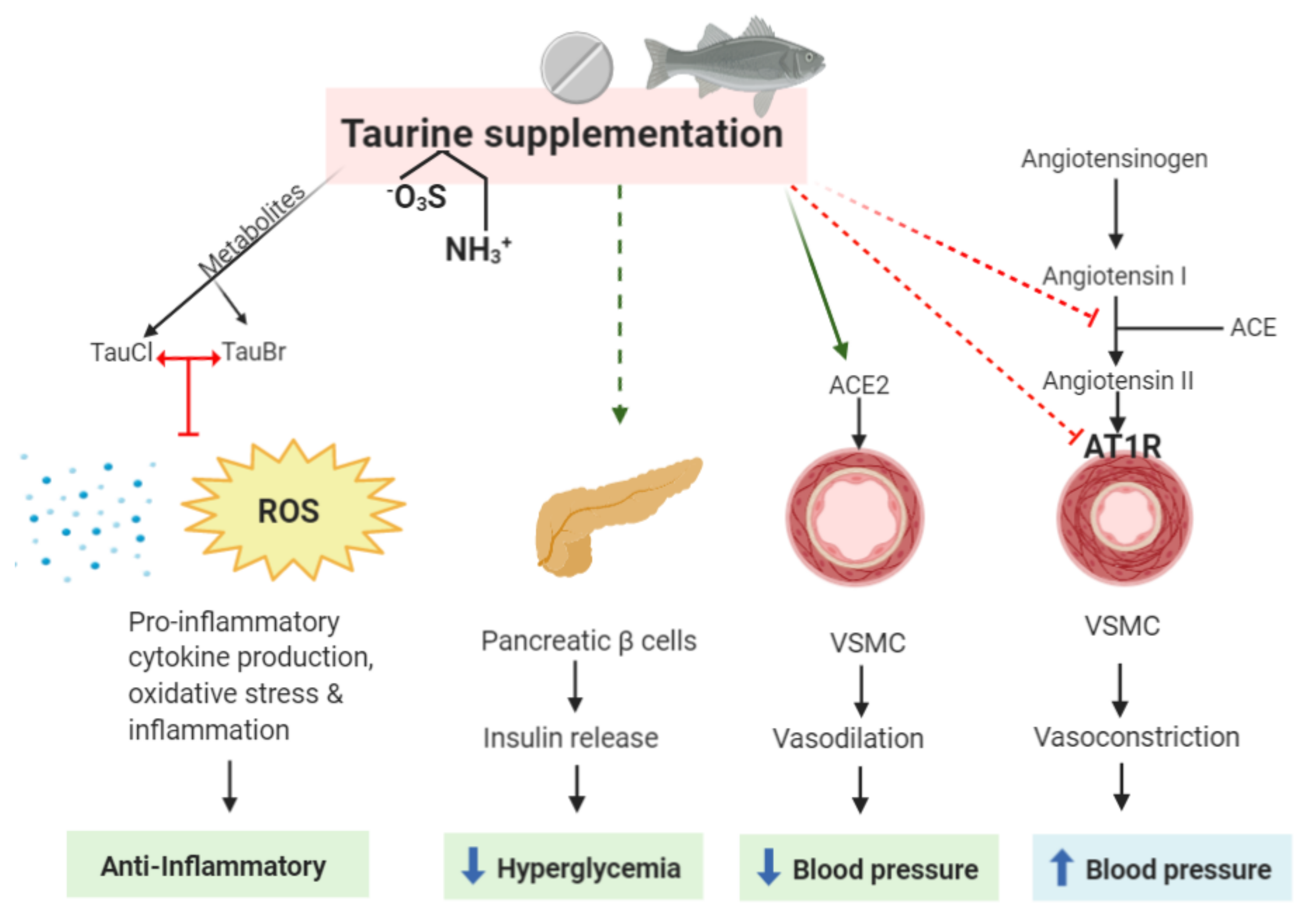 Nutrients 12 02847 g001 Nutrients 12 02847 g001