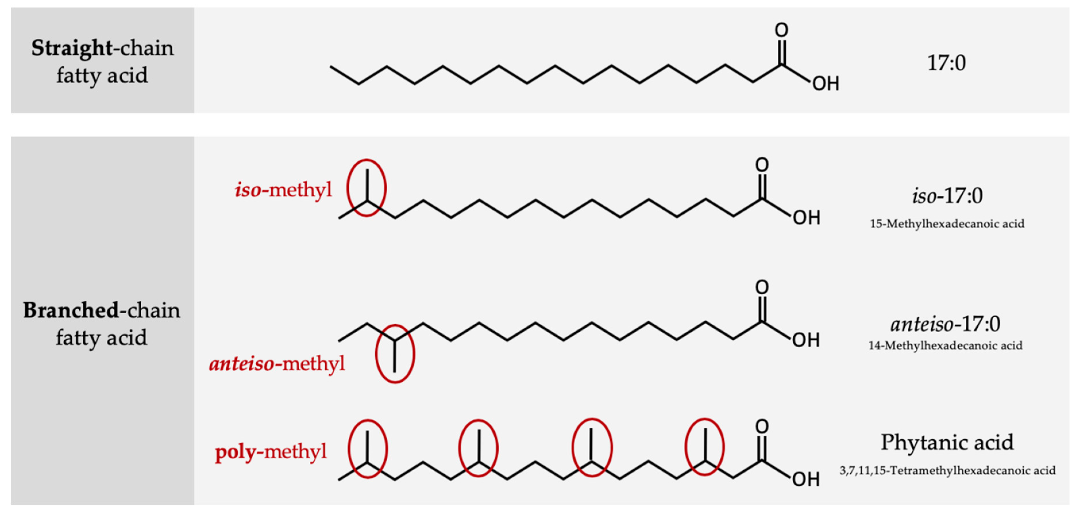 Nutrients 12 02875 g001 Nutrients 12 02875 g001