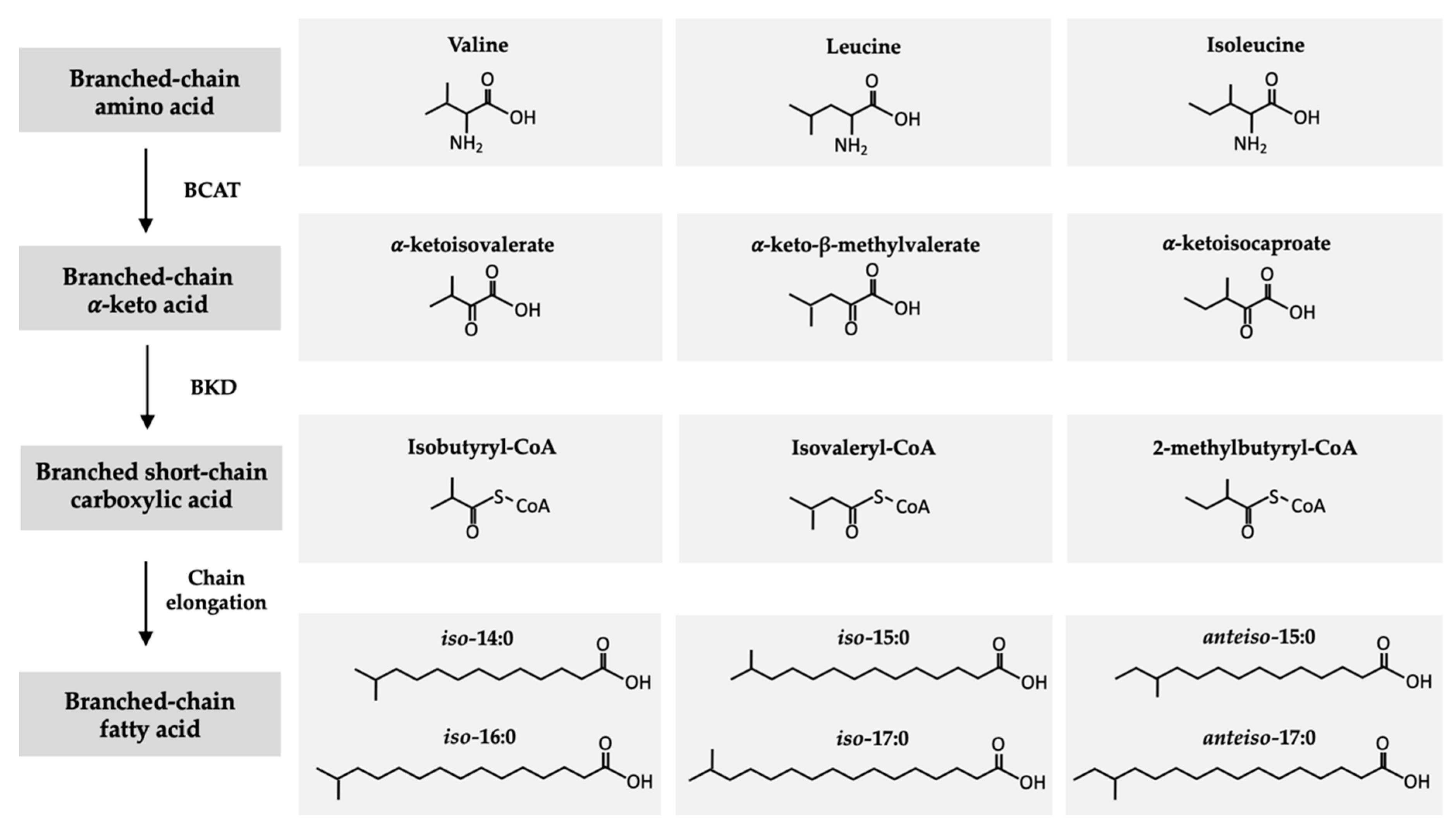 Nutrients 12 02875 g002 Nutrients 12 02875 g002