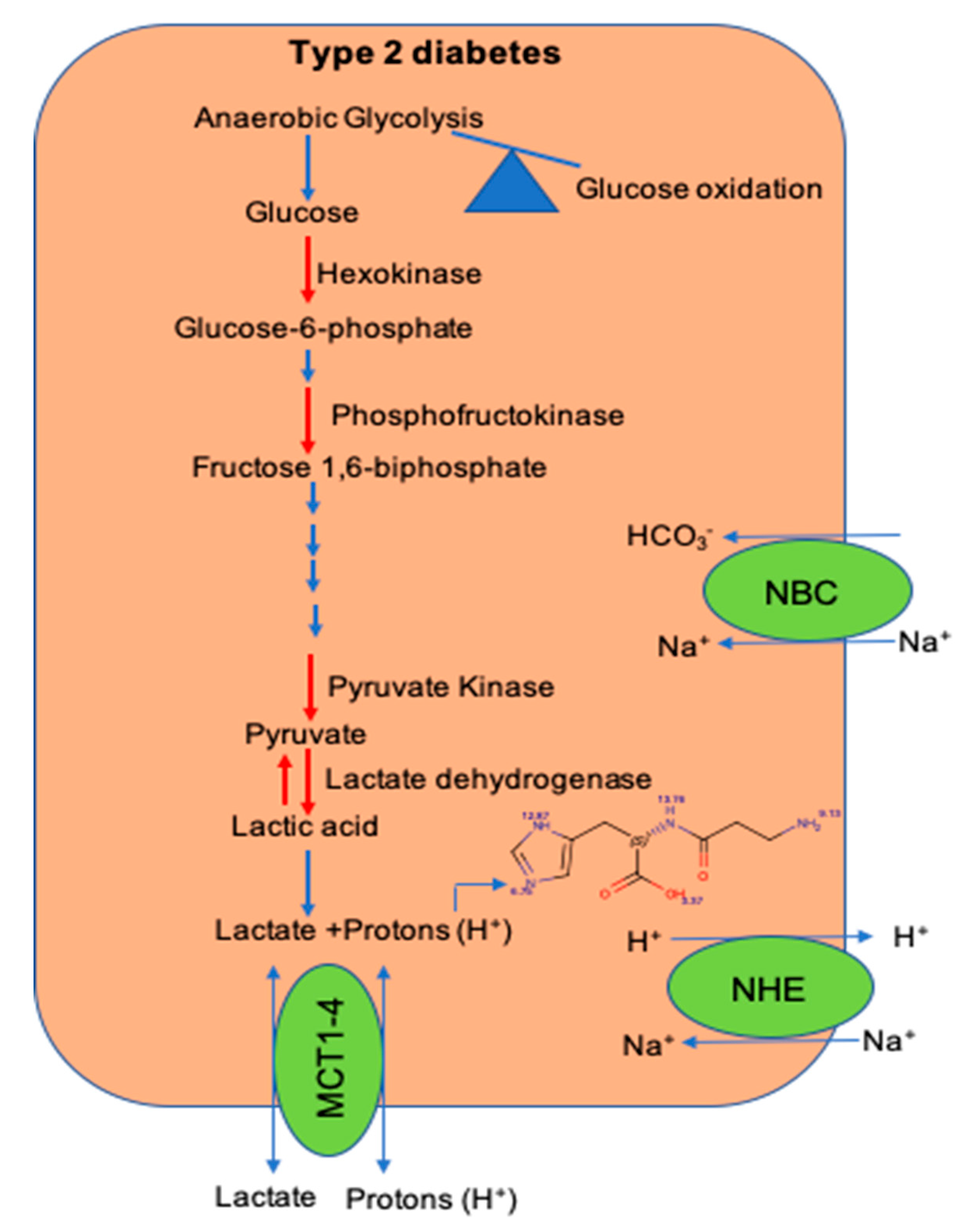 Nutrients 12 02910 g002 Nutrients 12 02910 g002