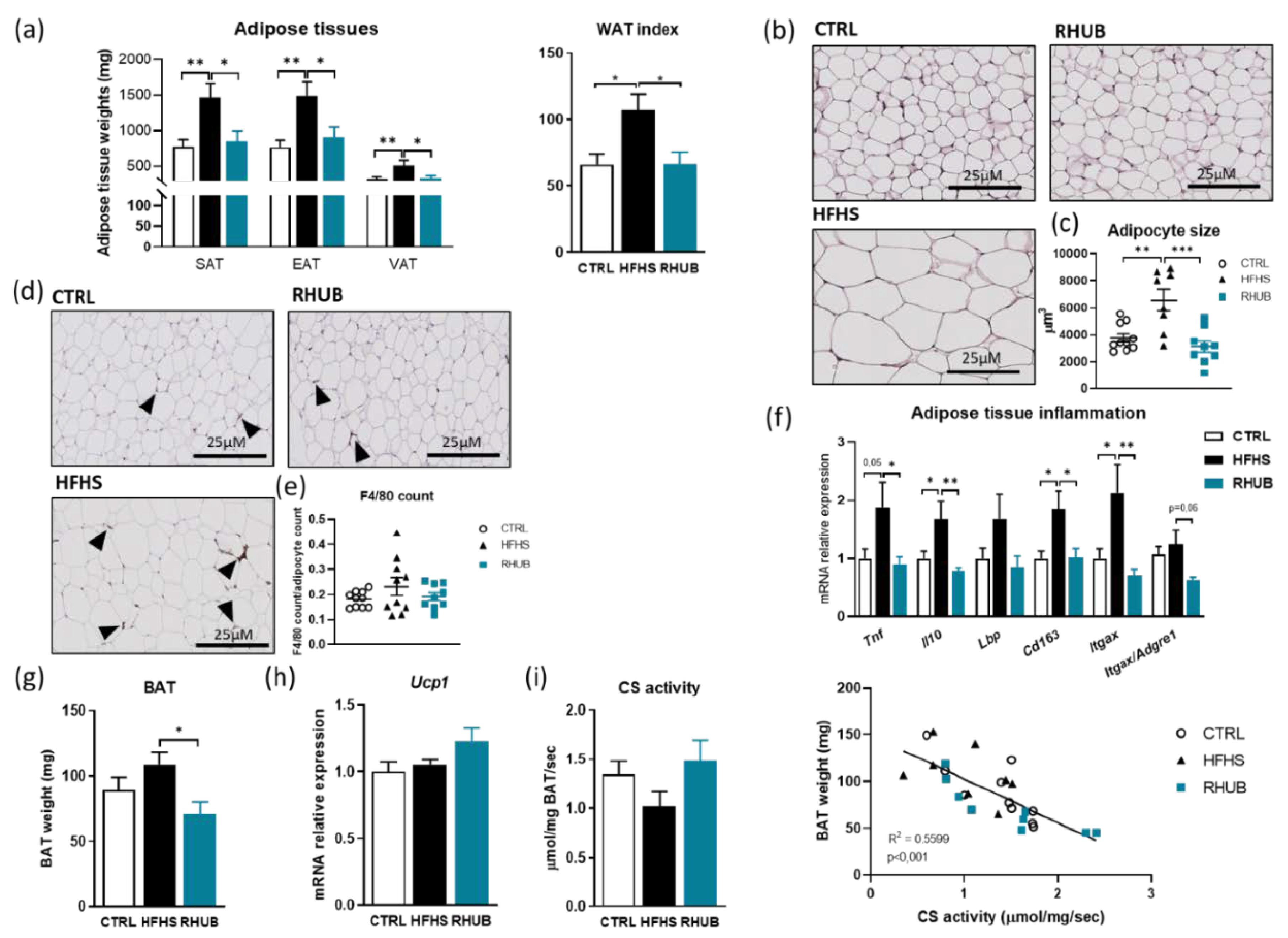 Nutrients 12 02932 g003 Nutrients 12 02932 g003