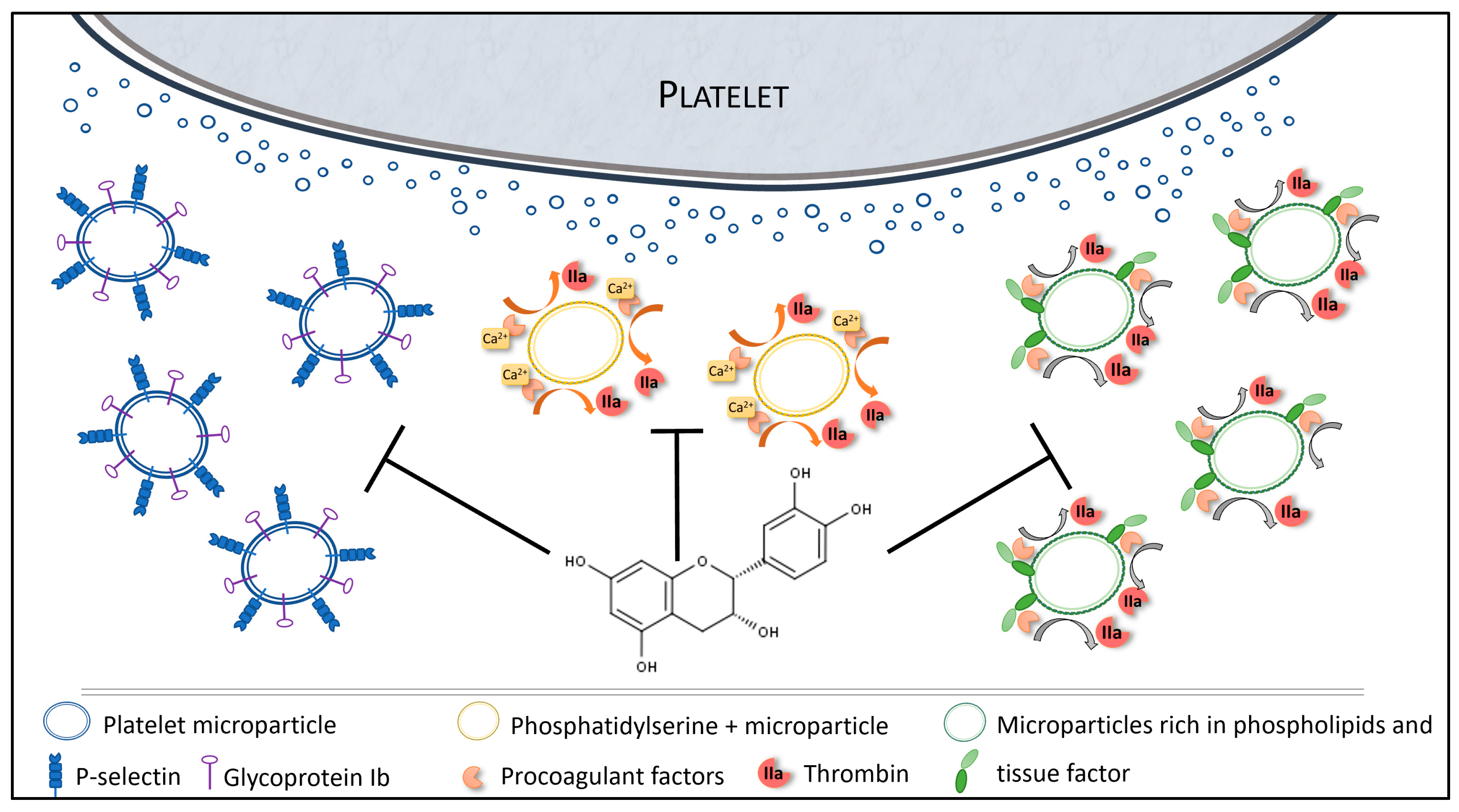 Nutrients 12 02935 g006 Nutrients 12 02935 g006