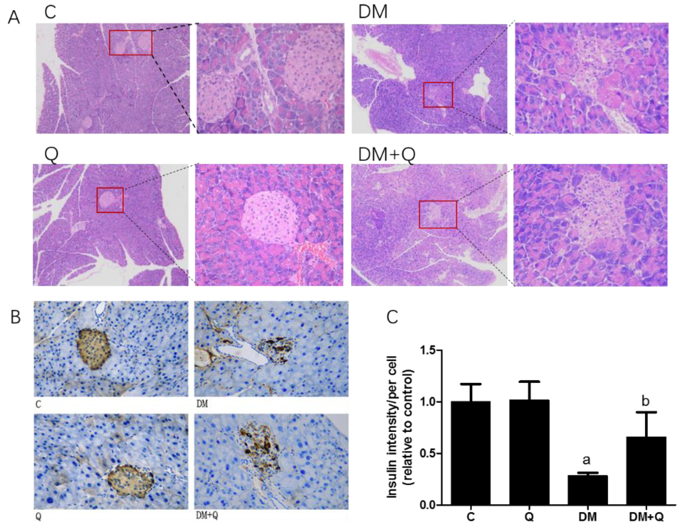 Nutrients 12 02954 g002 Nutrients 12 02954 g002