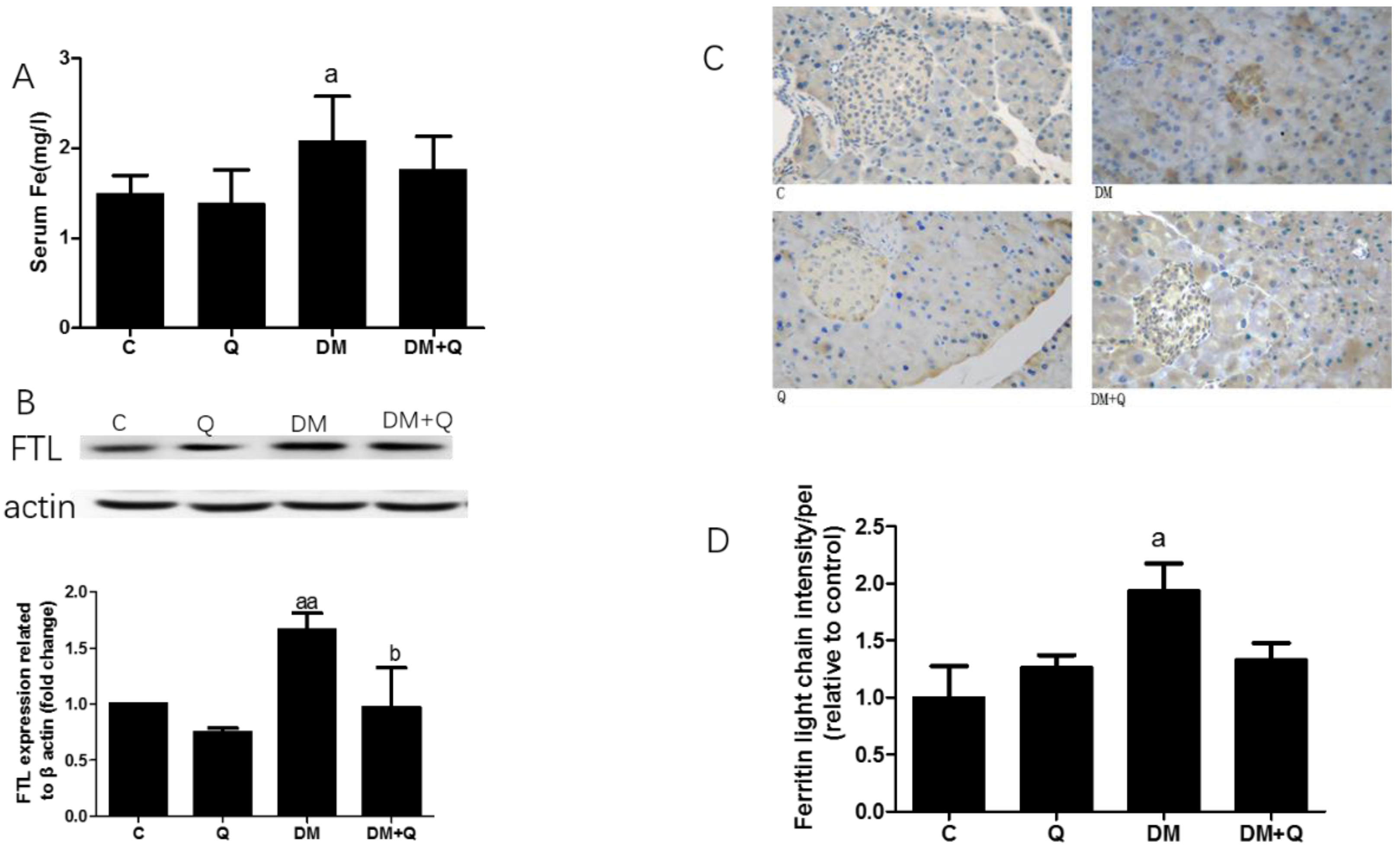 Nutrients 12 02954 g004 Nutrients 12 02954 g004