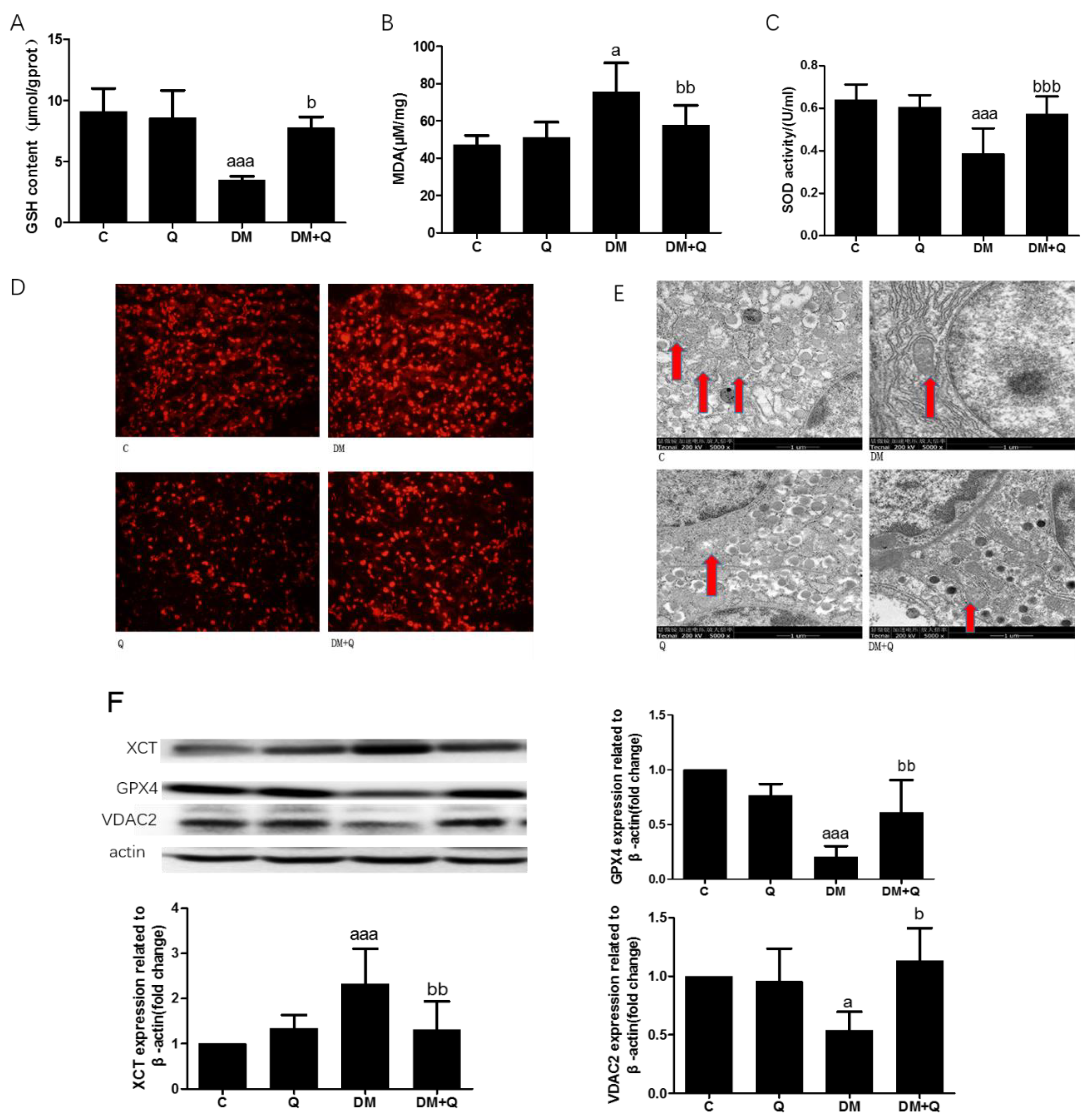 Nutrients 12 02954 g005 Nutrients 12 02954 g005