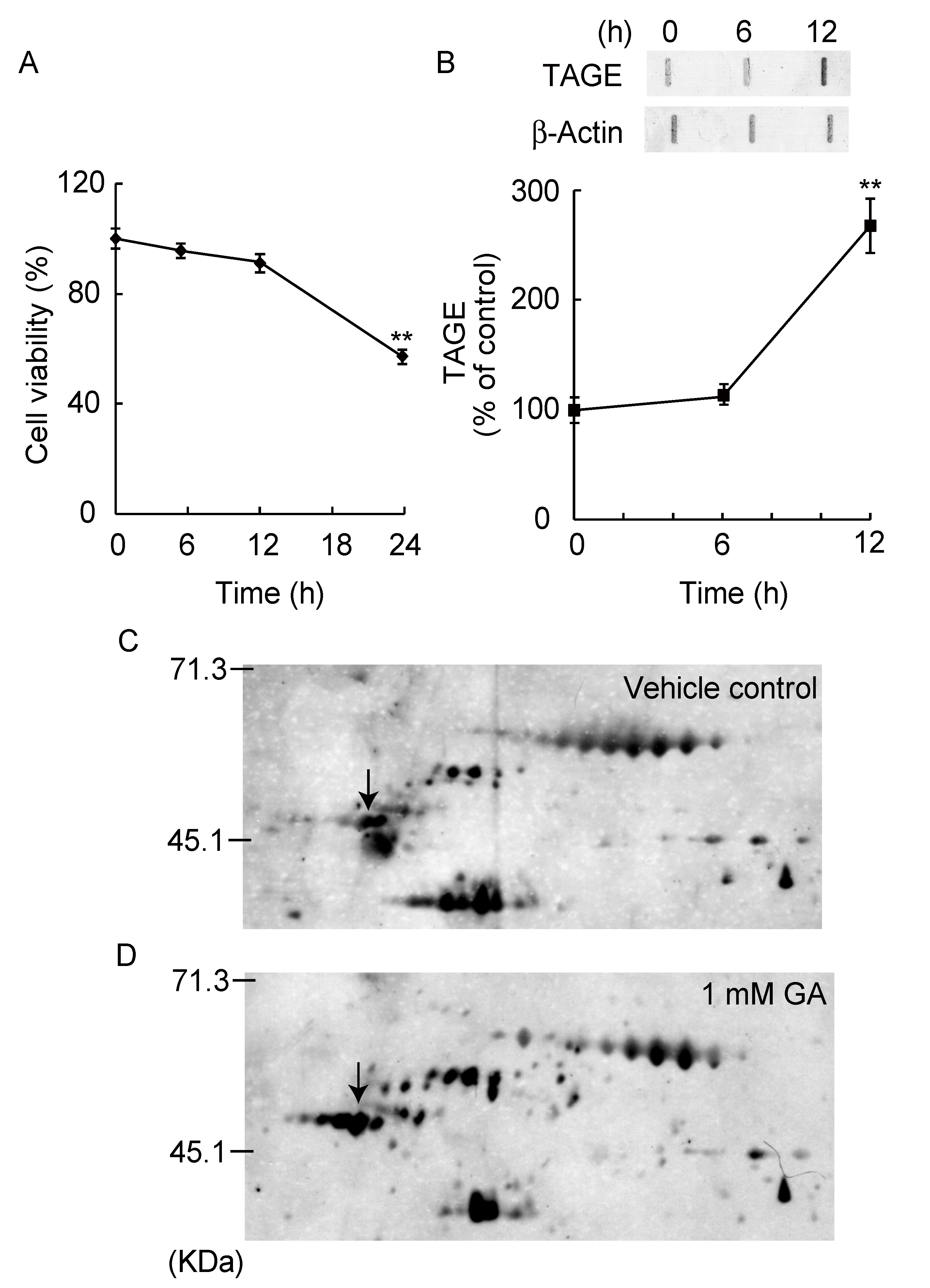 Nutrients 12 02958 g001