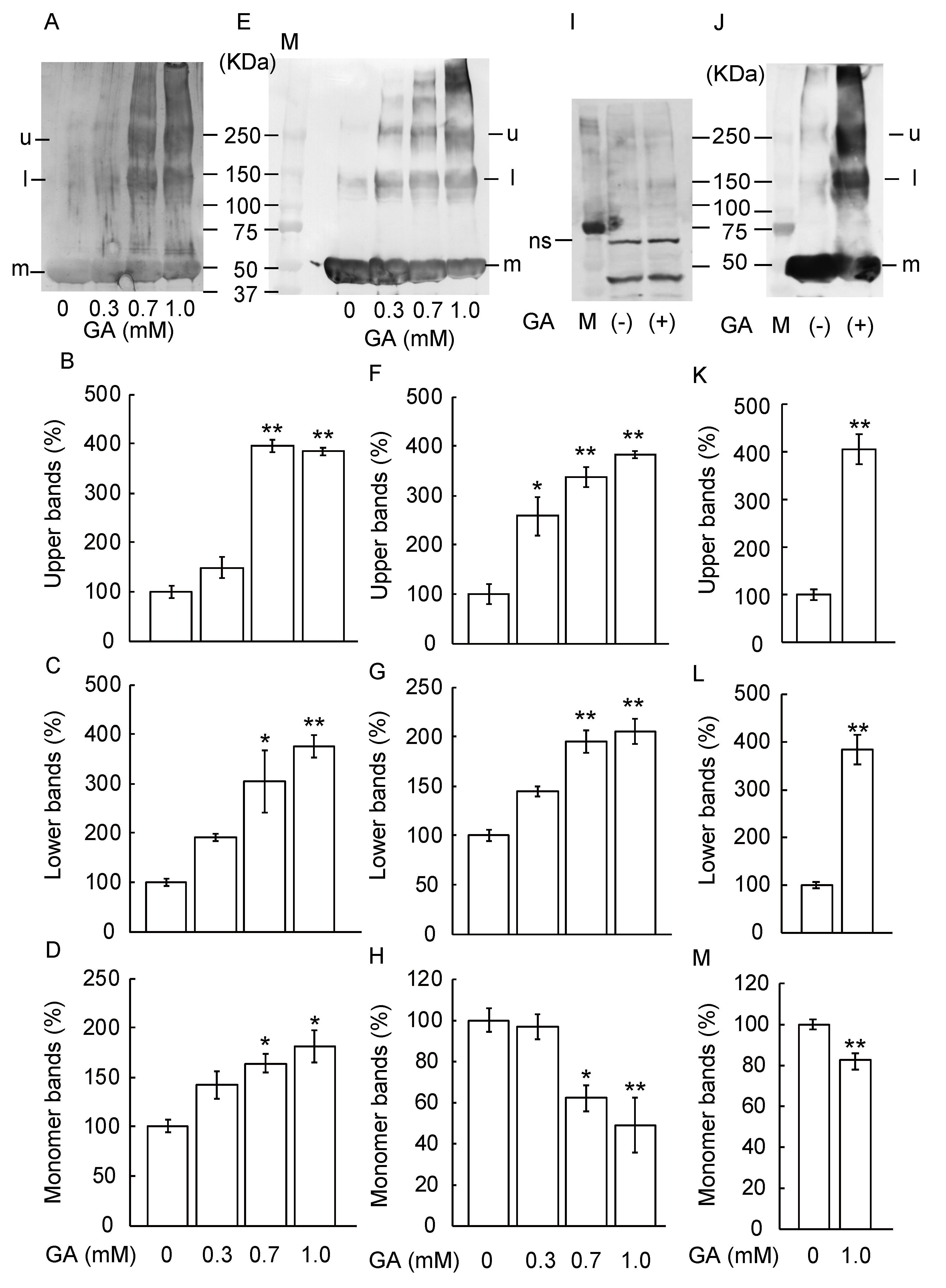 Nutrients 12 02958 g002