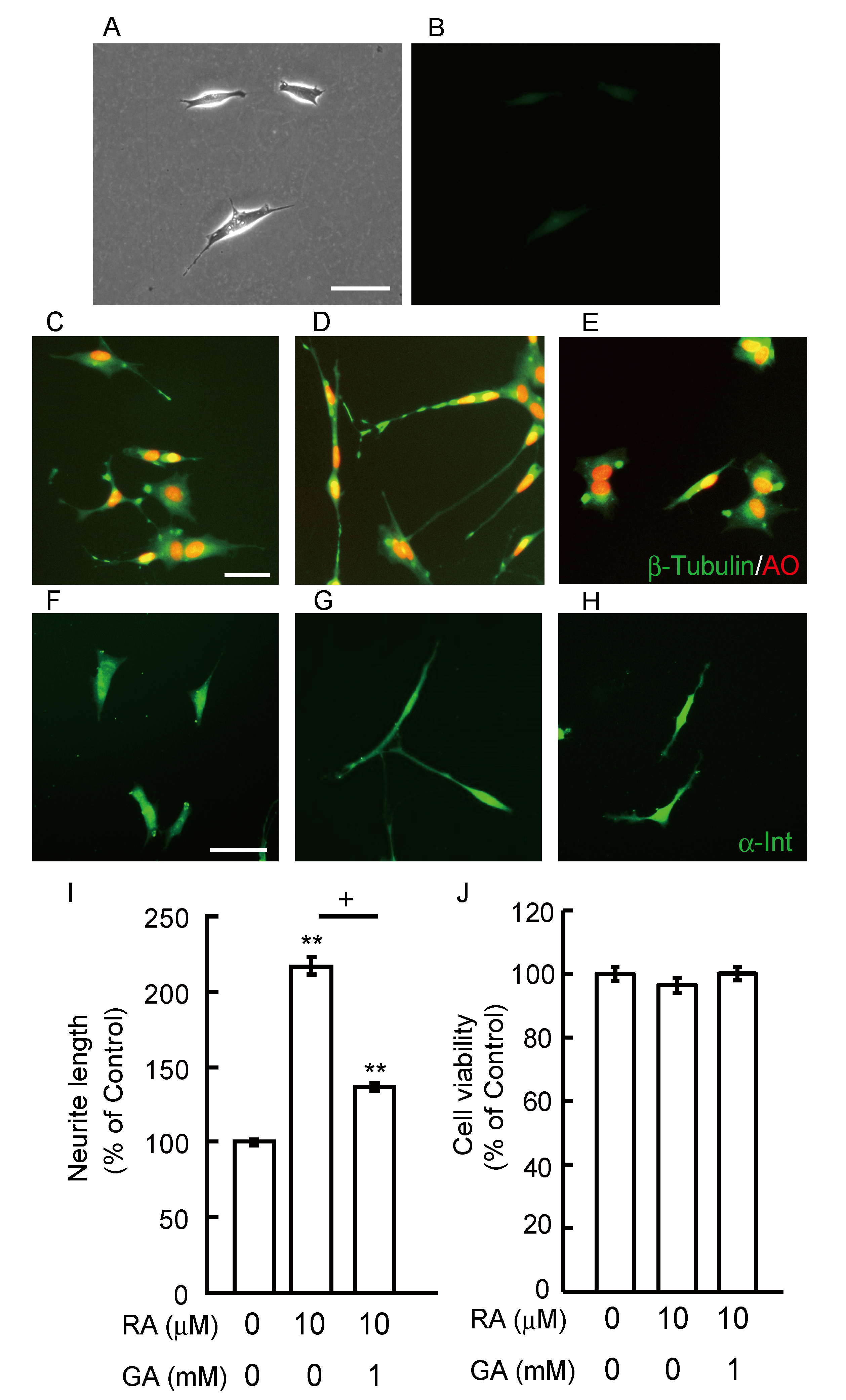 Nutrients 12 02958 g003