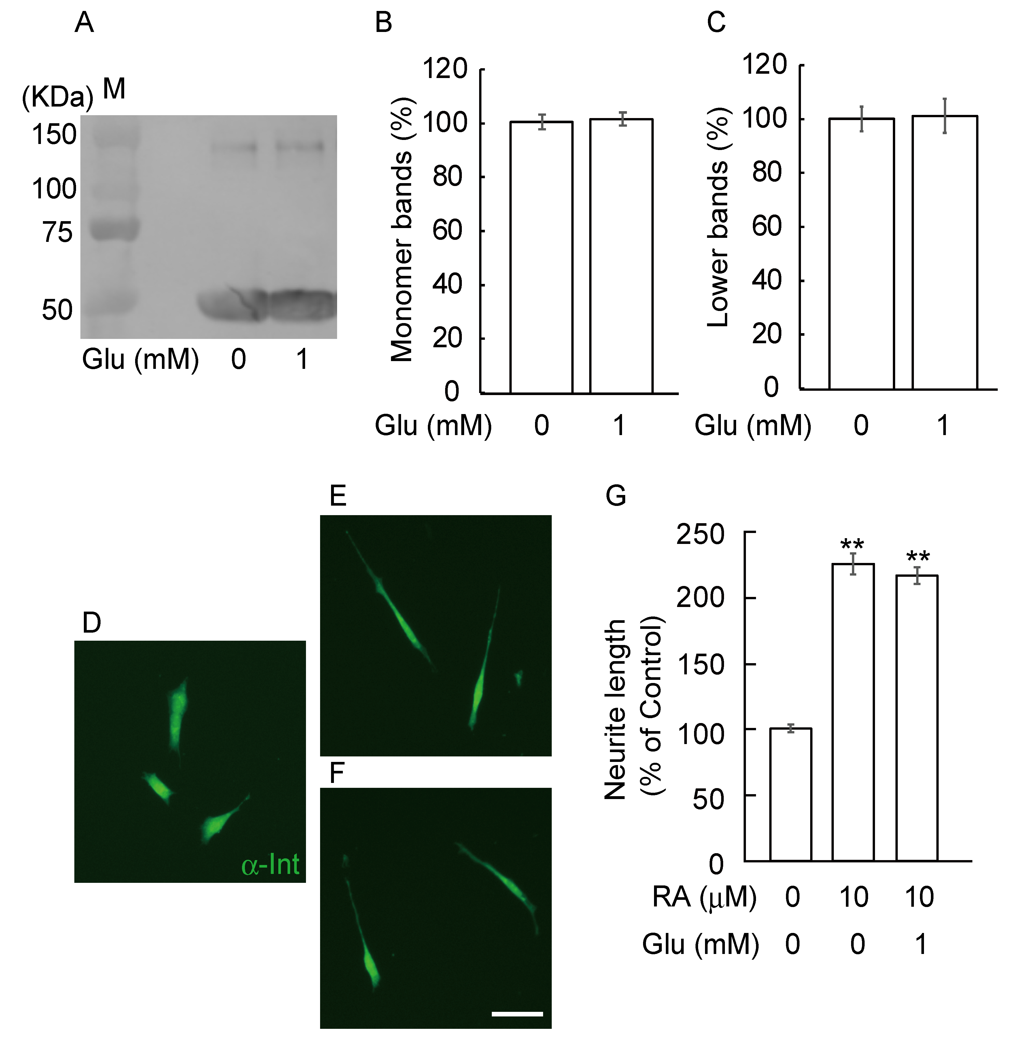 Nutrients 12 02958 g004