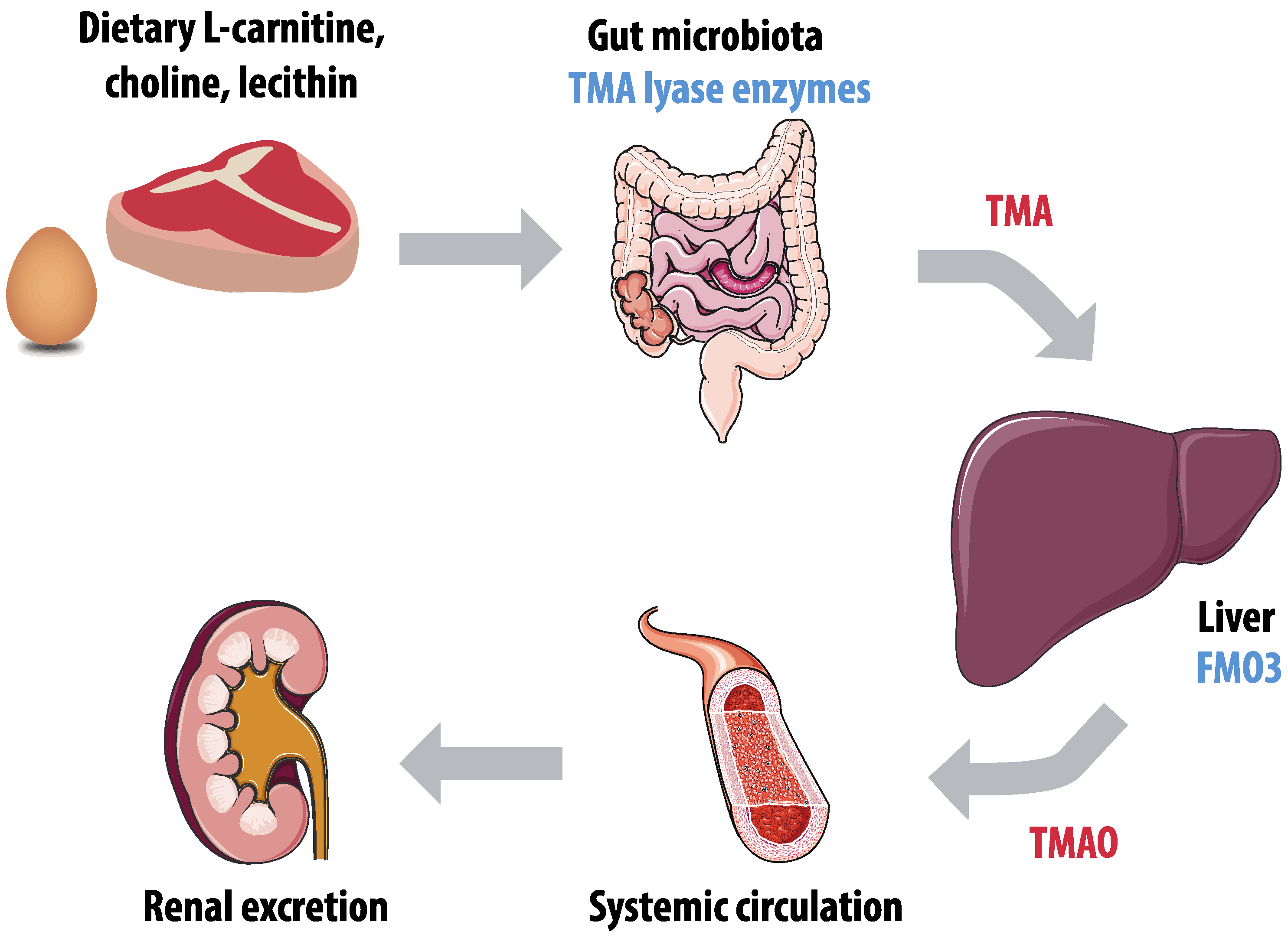Nutrients 12 02982 g002