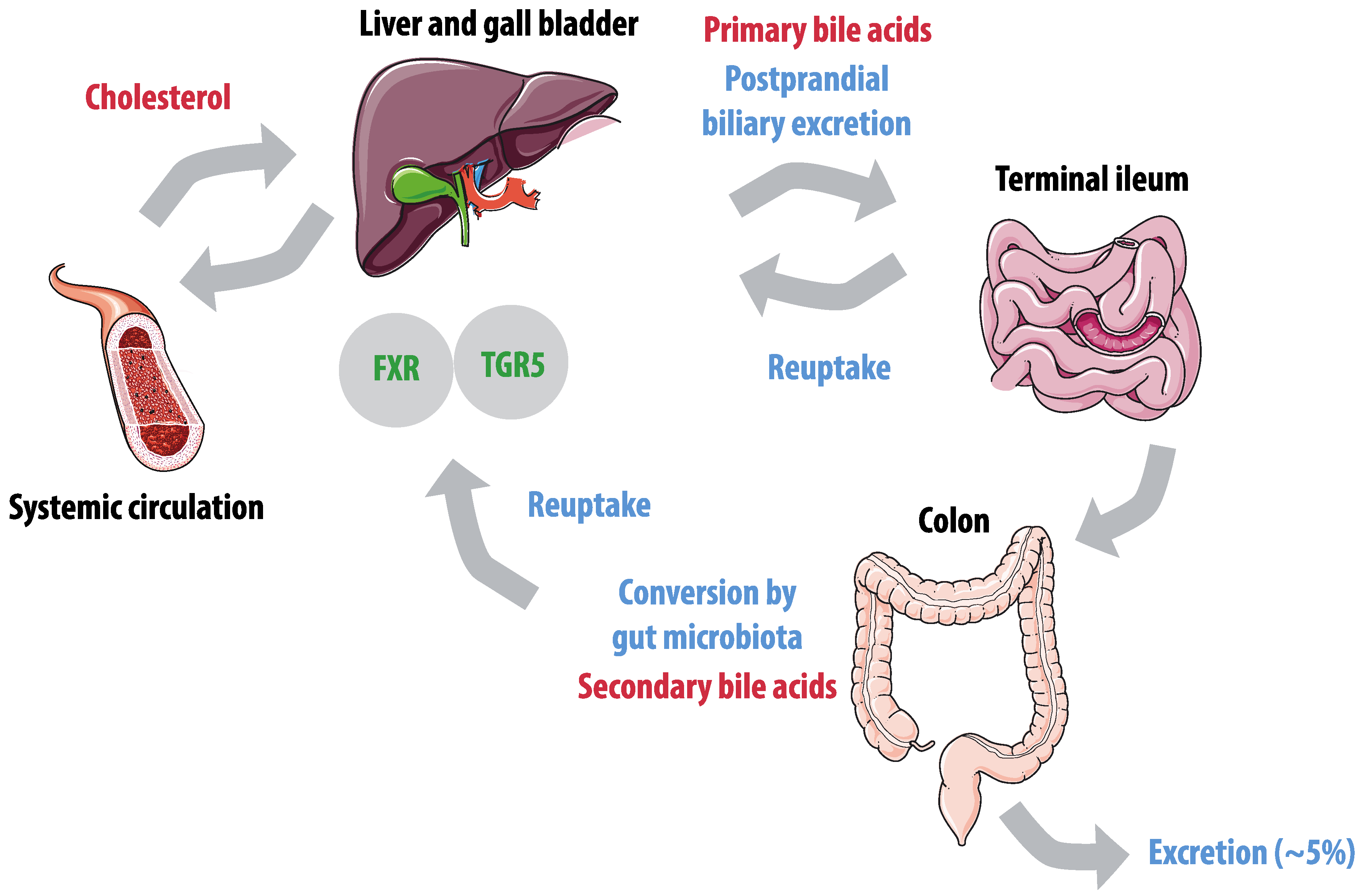 Nutrients 12 02982 g003