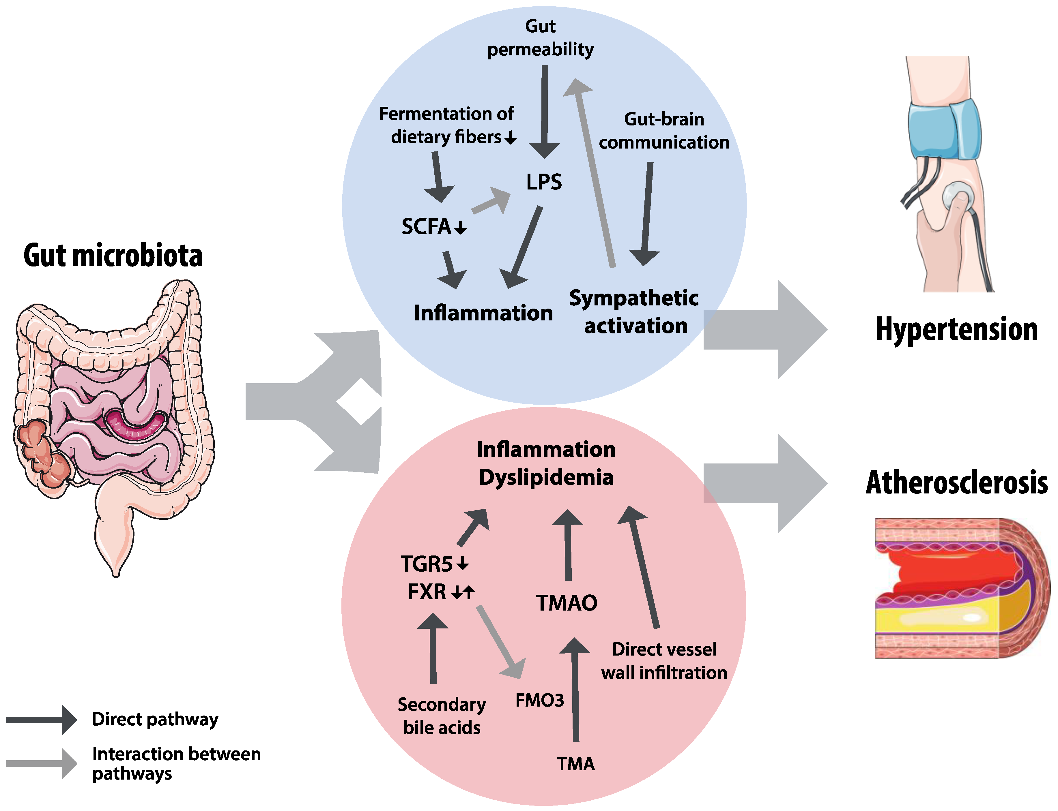 Nutrients 12 02982 g004