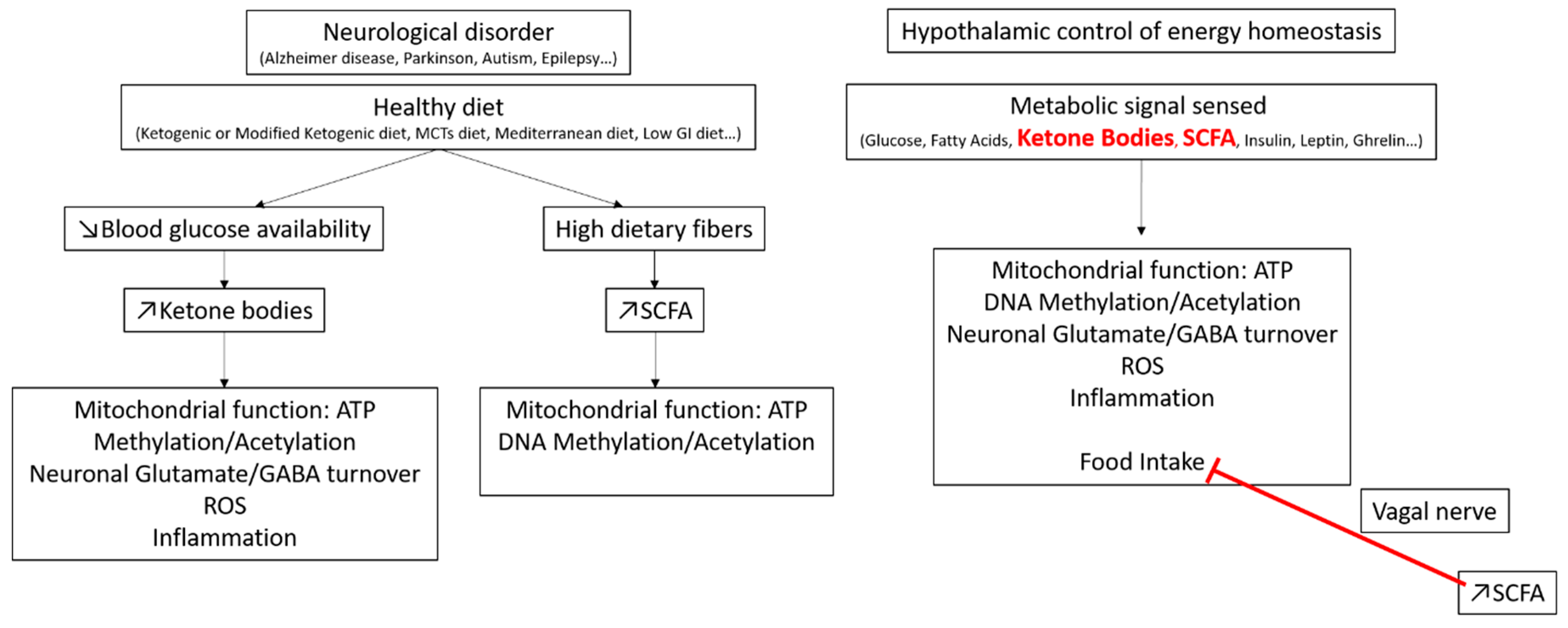 Nutrients 12 02989 g002