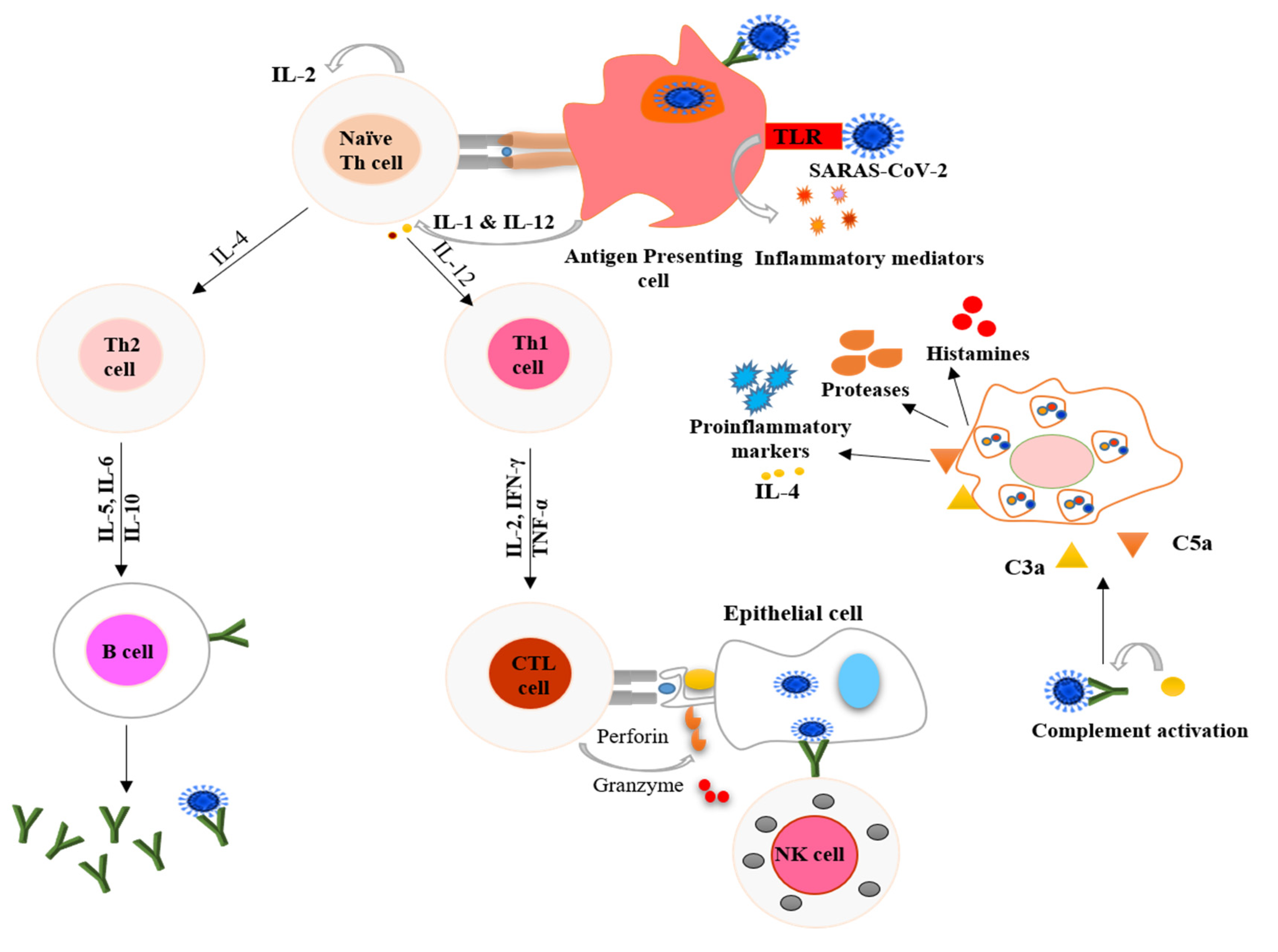 Nutrients 12 02992 g001