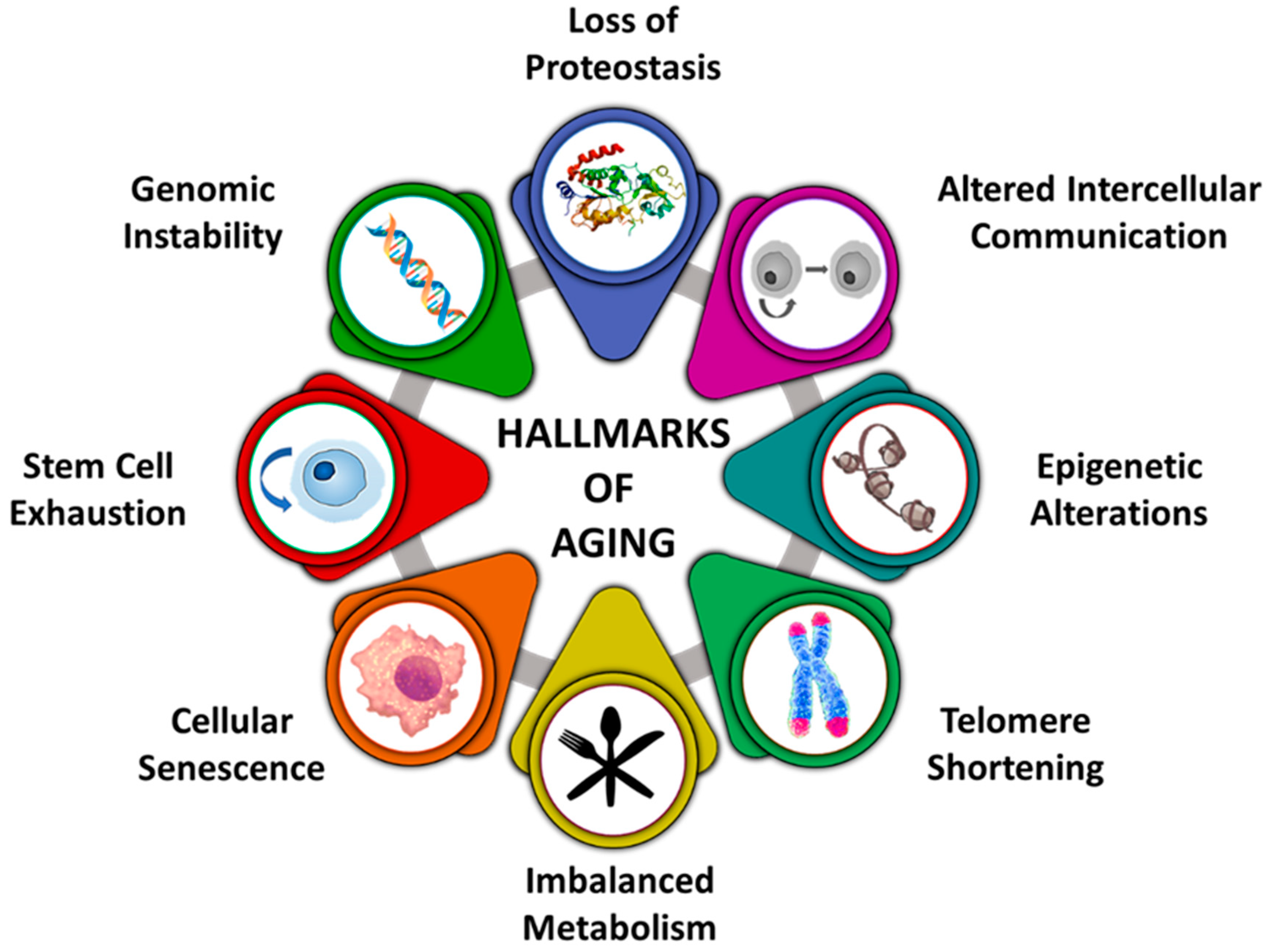 Nutrients 12 03008 g001