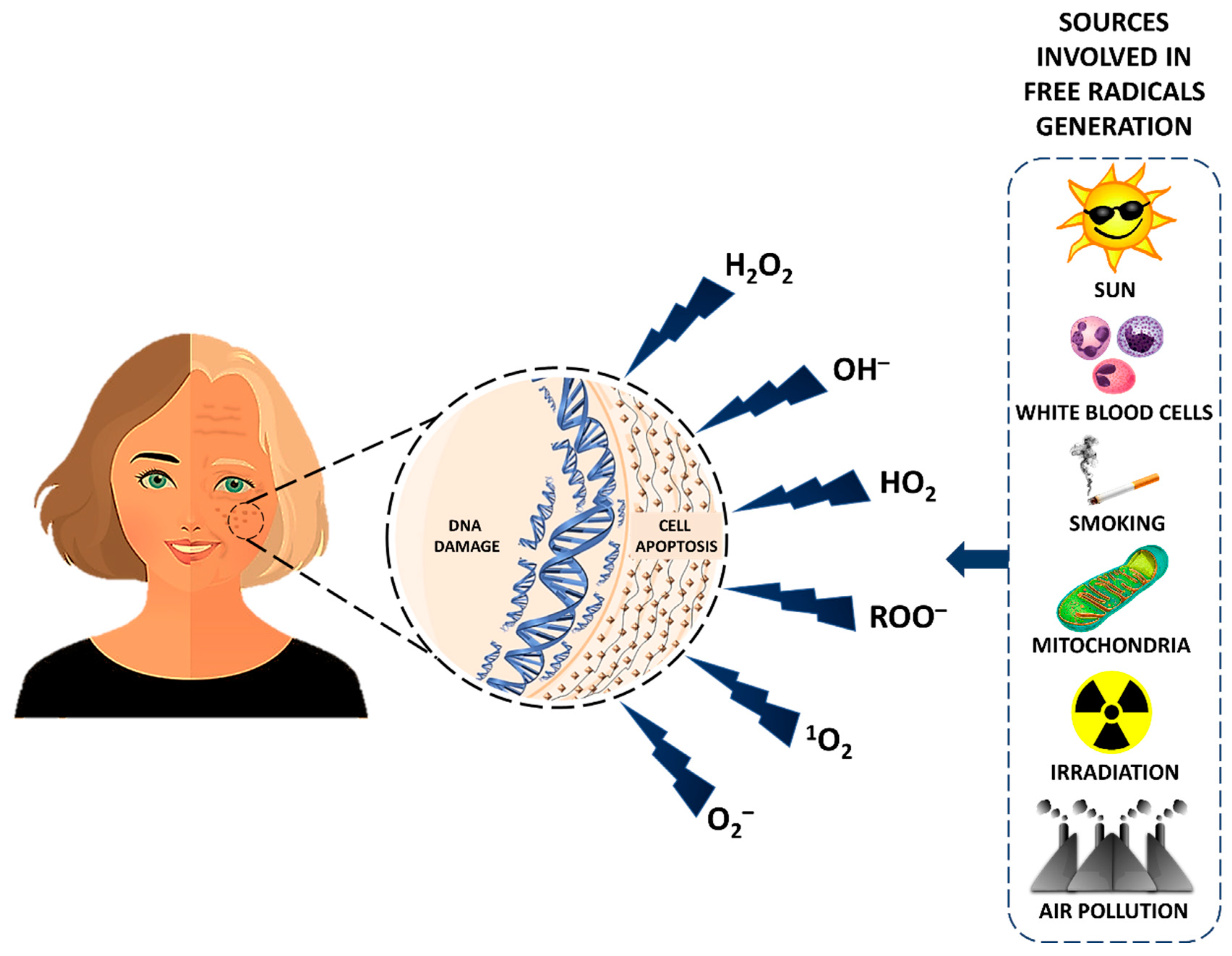 Nutrients 12 03008 g002