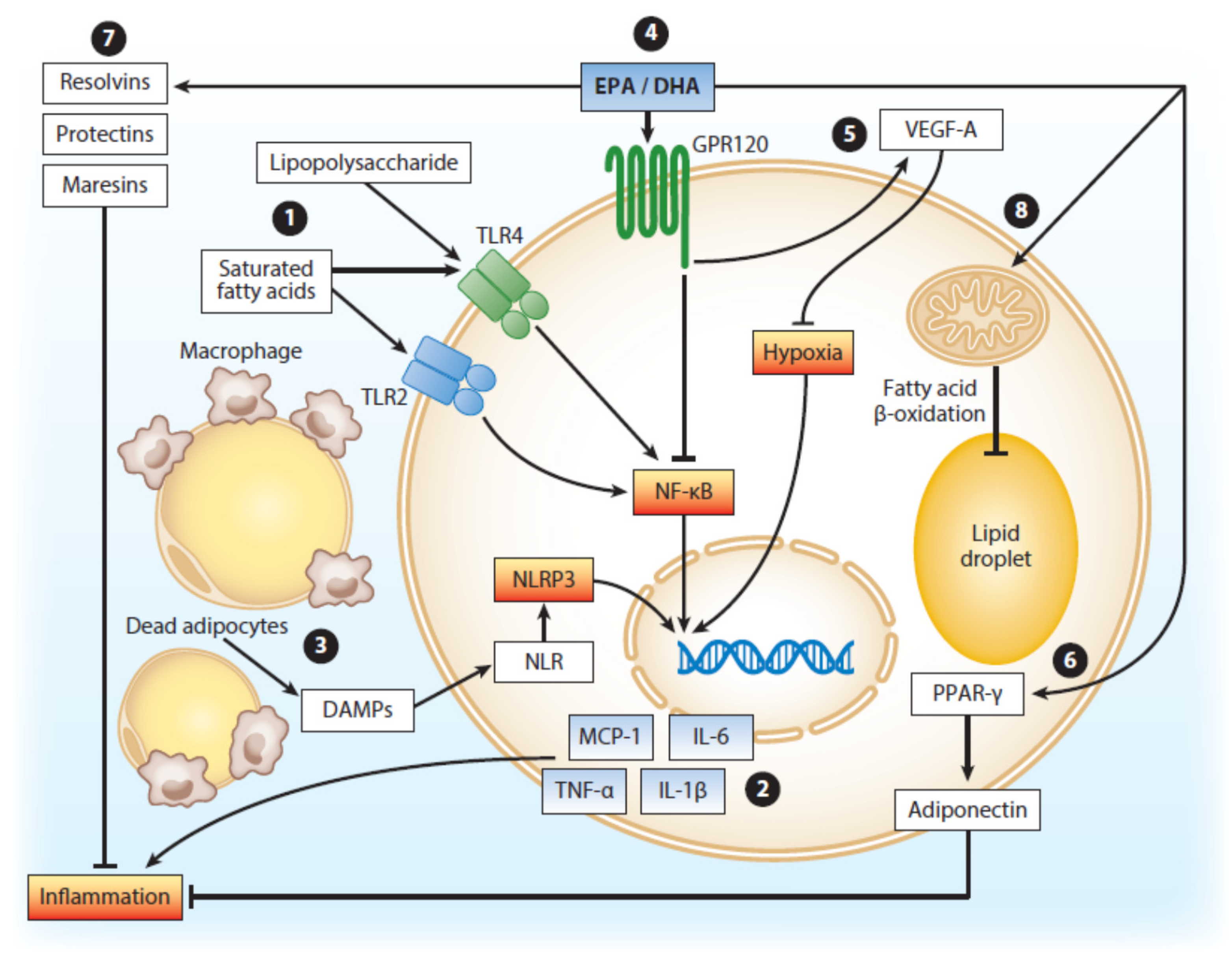 Nutrients 12 03014 g002