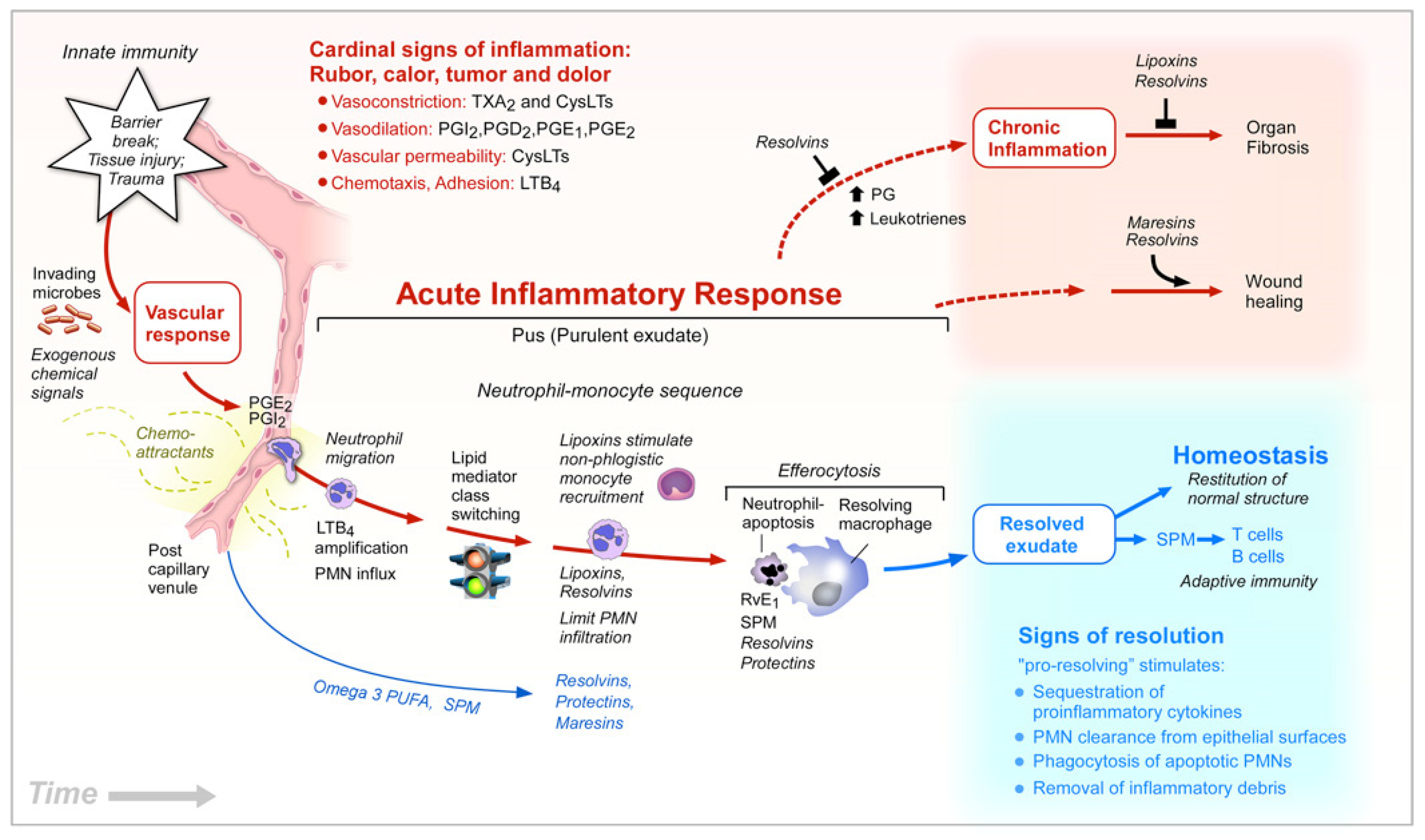 Nutrients 12 03014 g003
