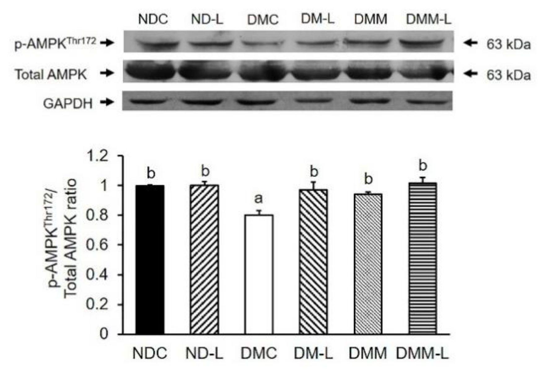 Nutrients 12 03015 g004 Nutrients 12 03015 g004