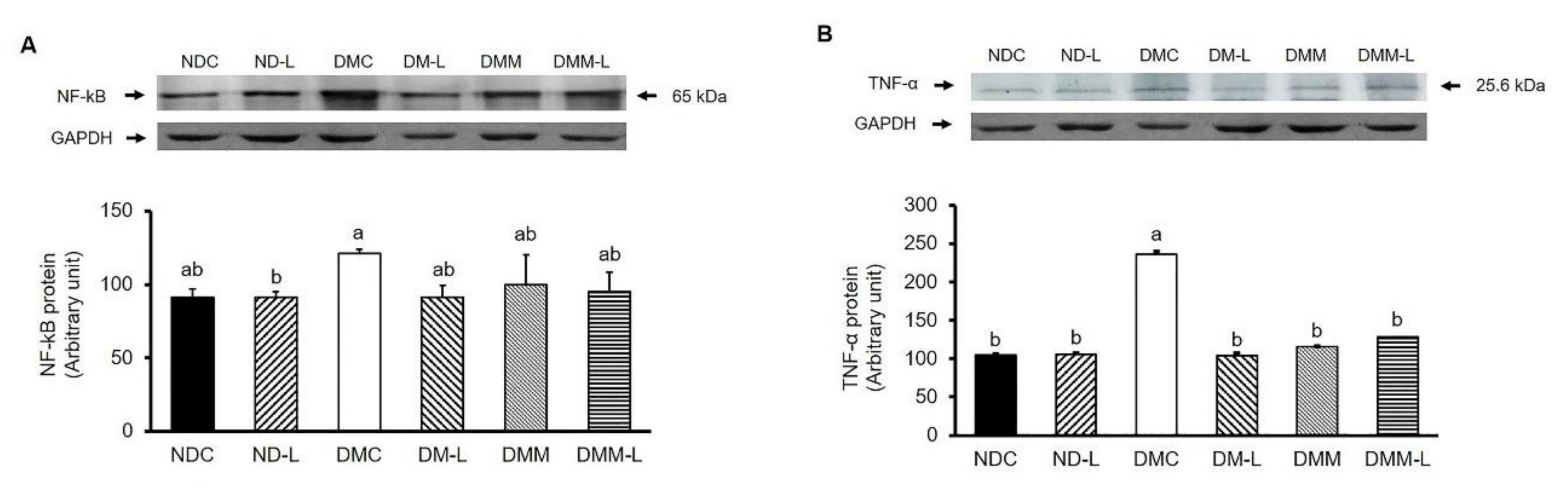 Nutrients 12 03015 g005 Nutrients 12 03015 g005