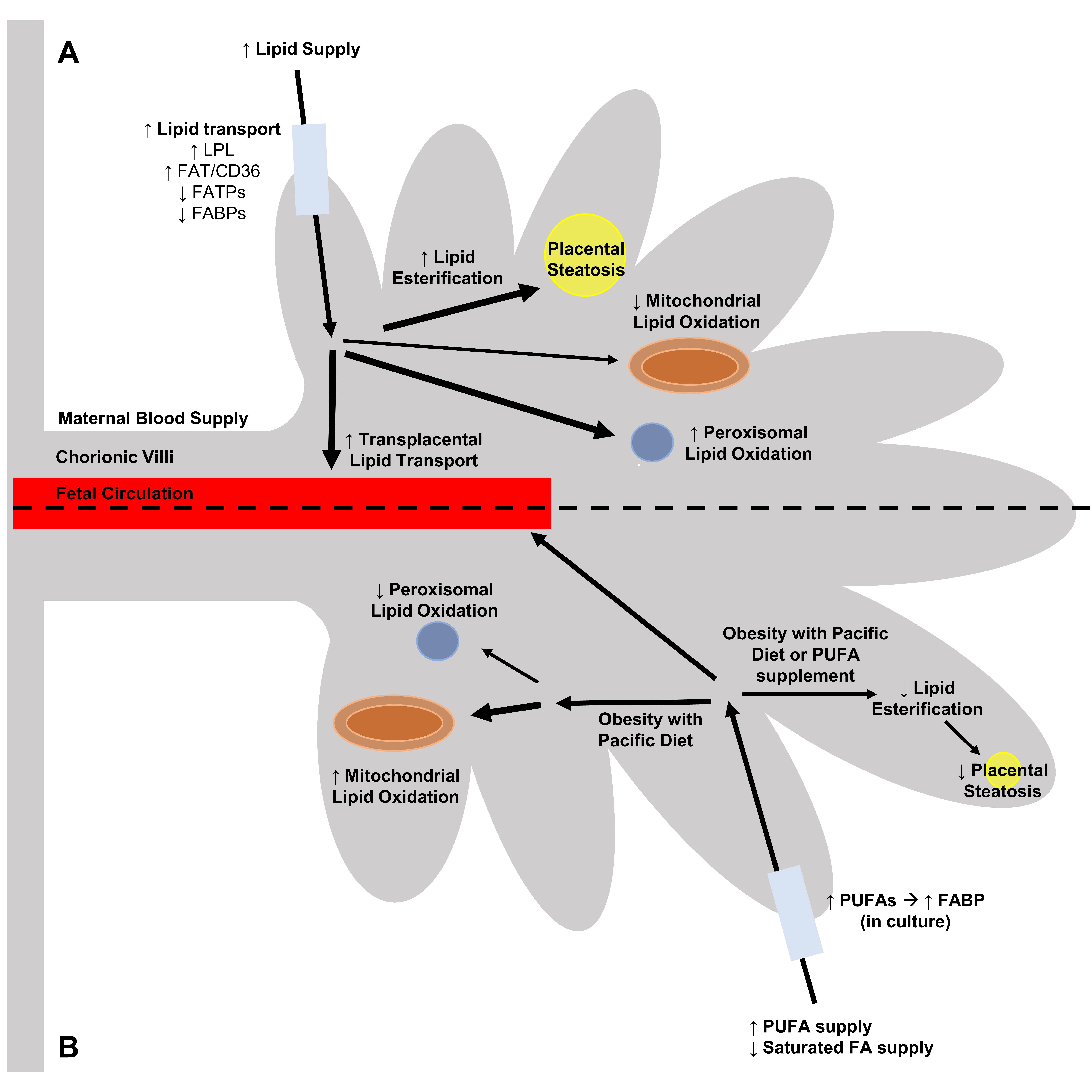 Nutrients 12 03031 g001