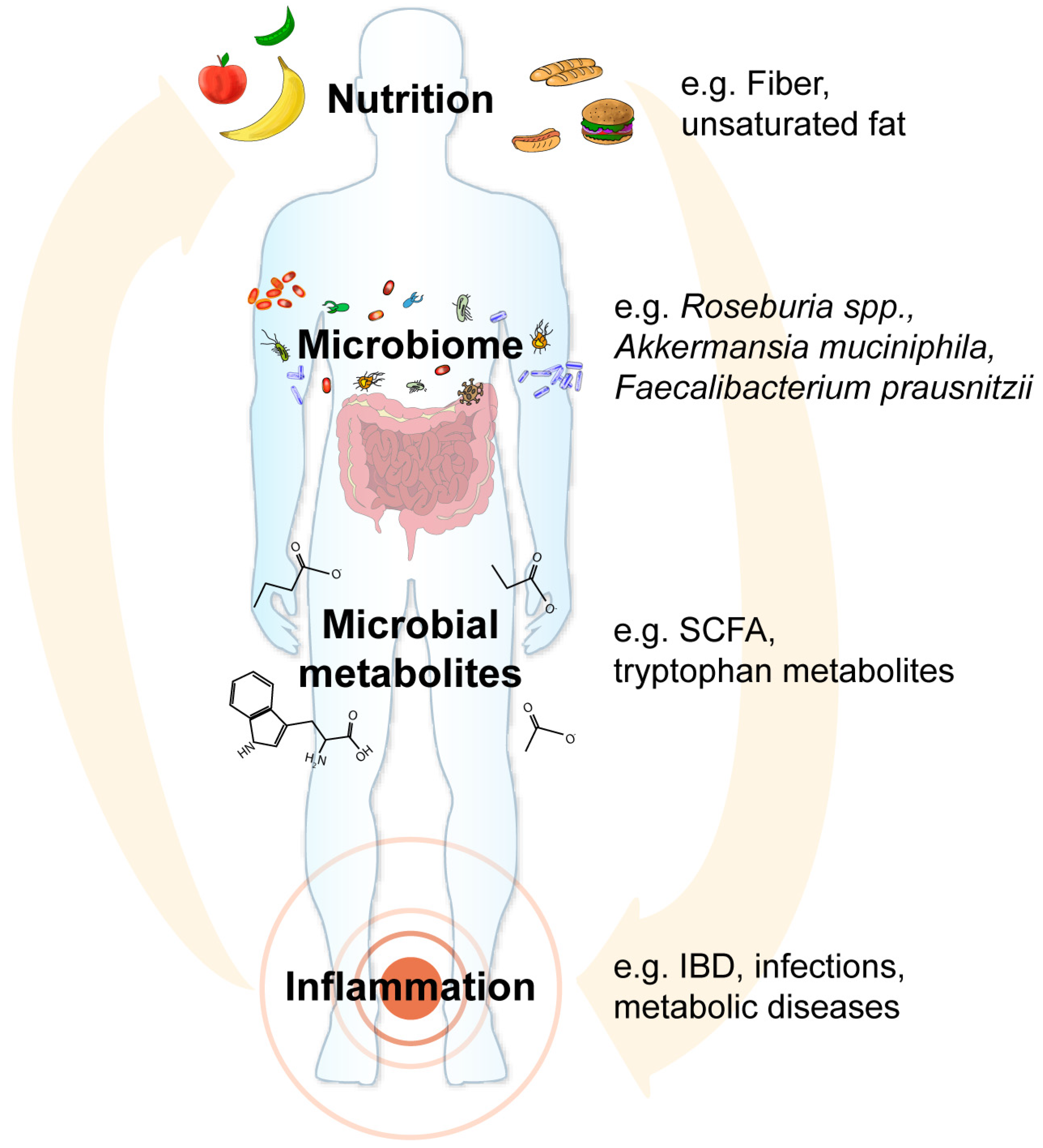 Nutrients 12 03032 g001